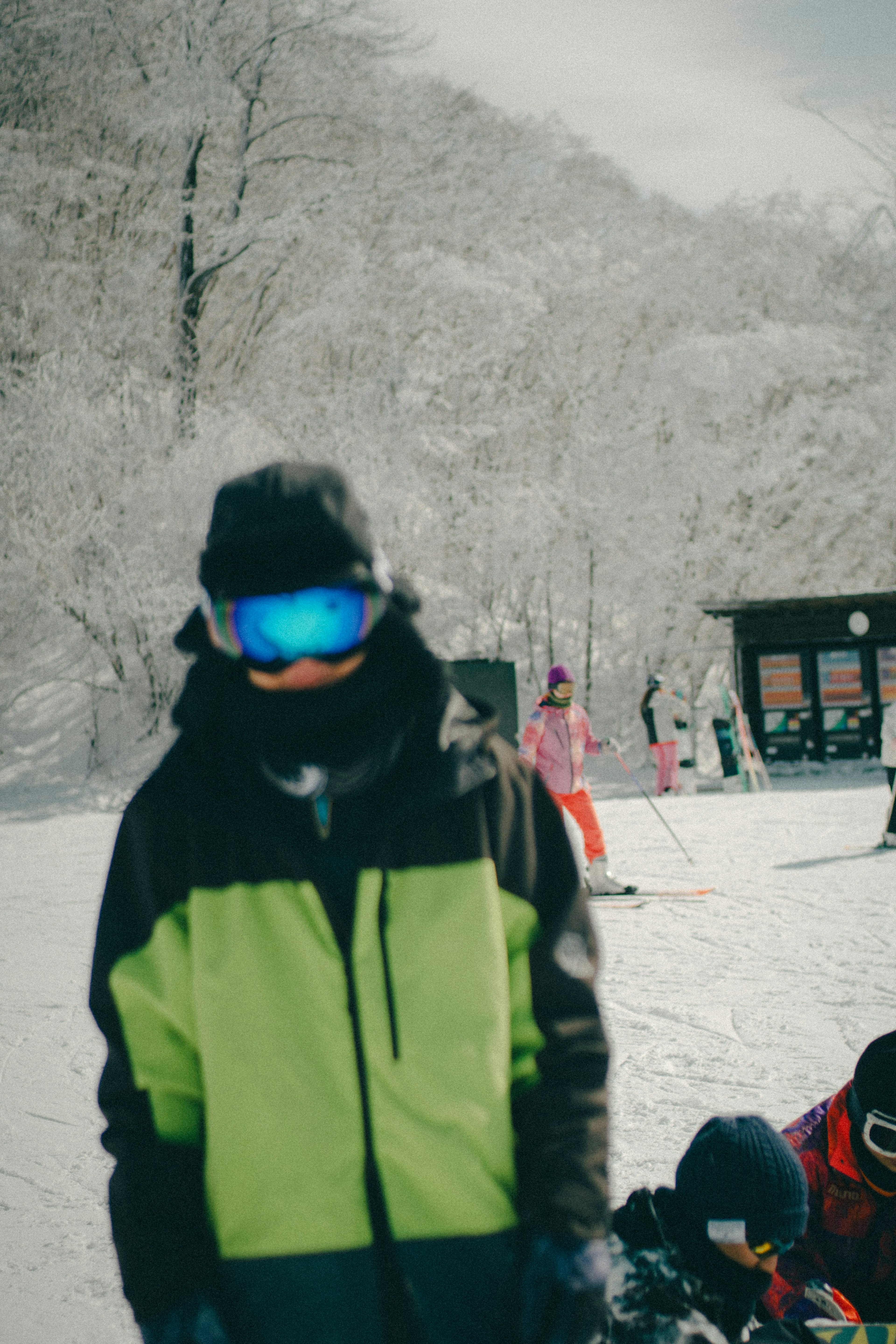 Person in green and black jacket with ski goggles on snowy mountain