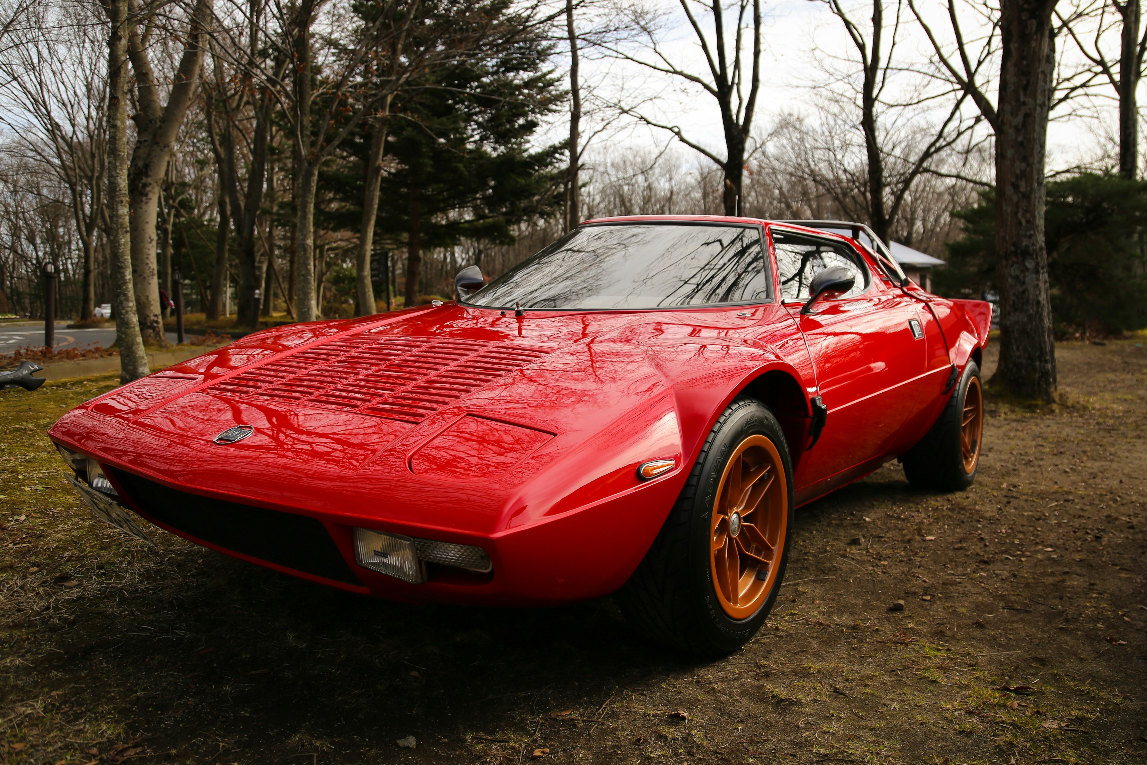 Voiture de sport rouge garée parmi les arbres