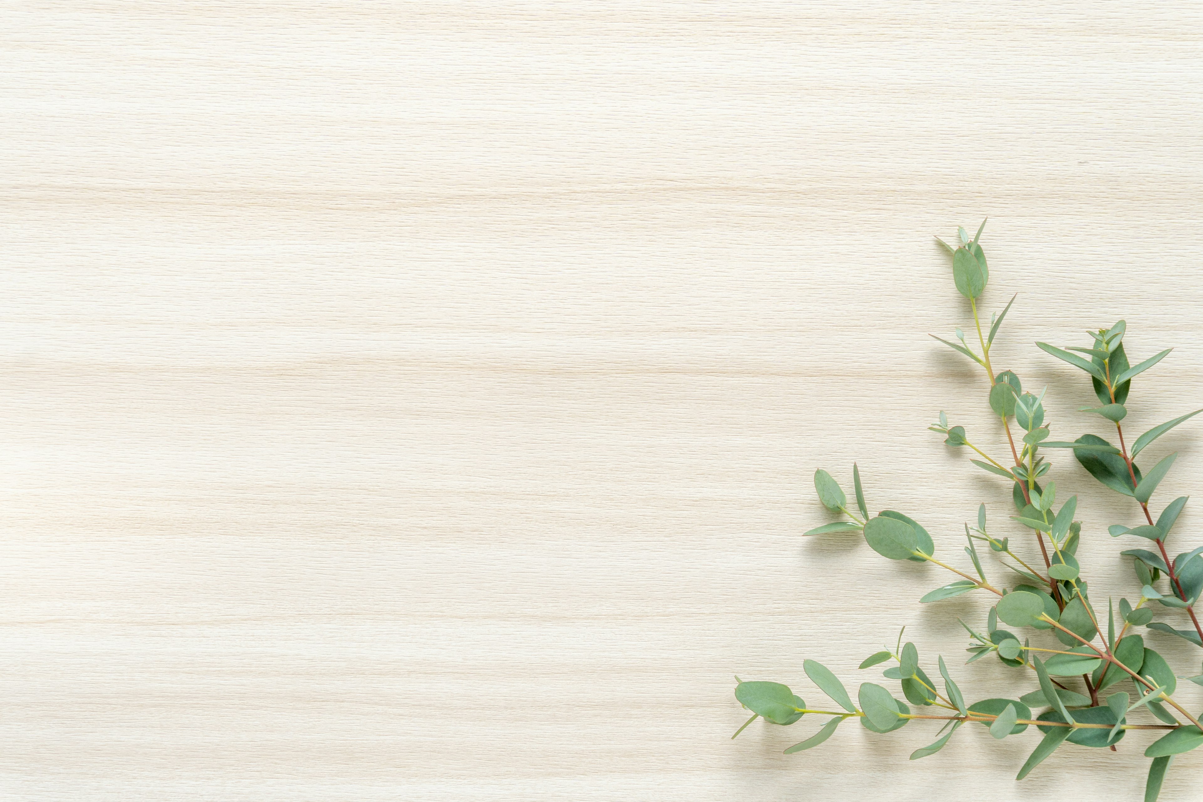 Image featuring green leaves on a light wood grain background