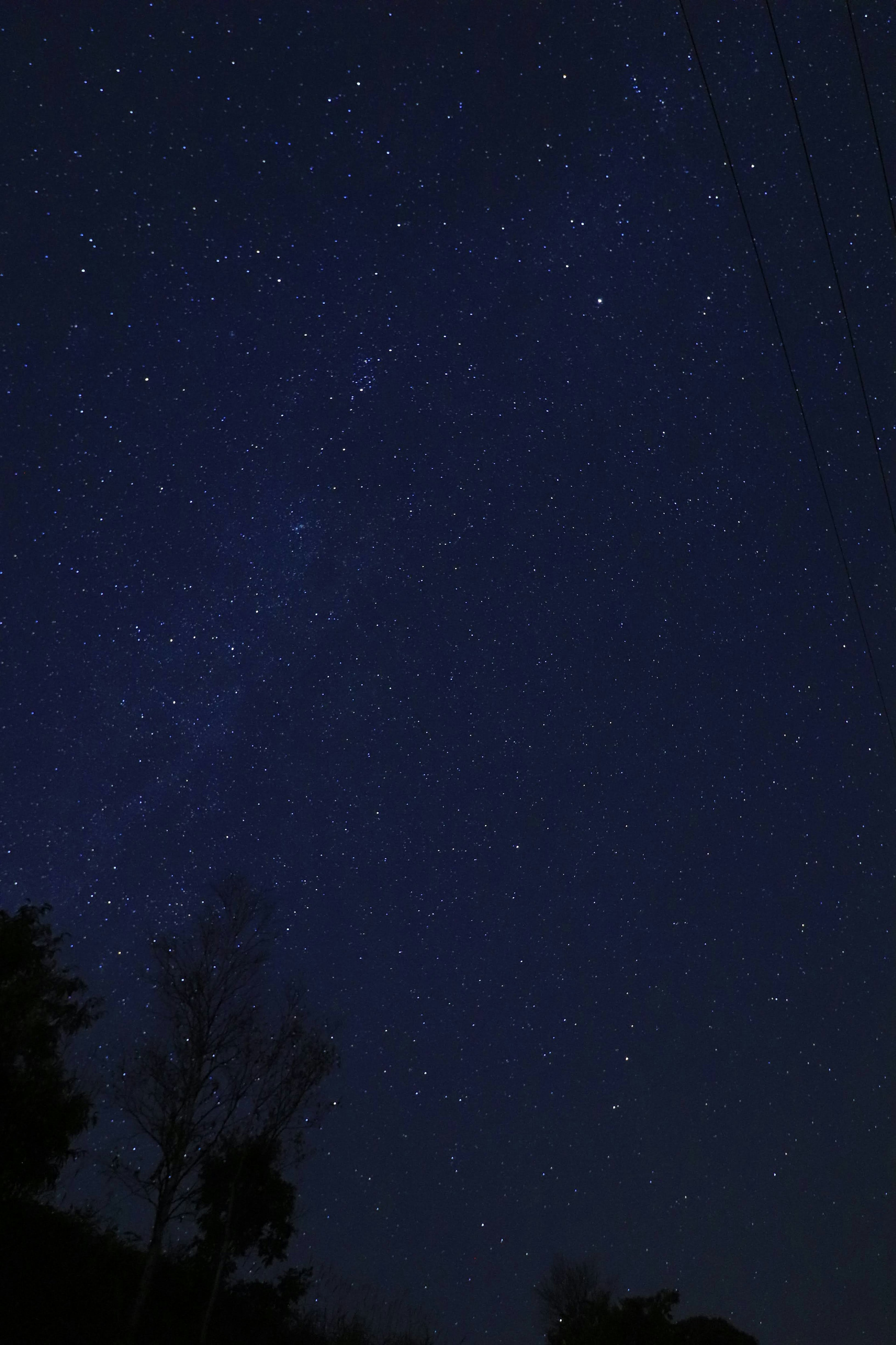 Langit malam yang indah dipenuhi dengan tak terhitung bintang