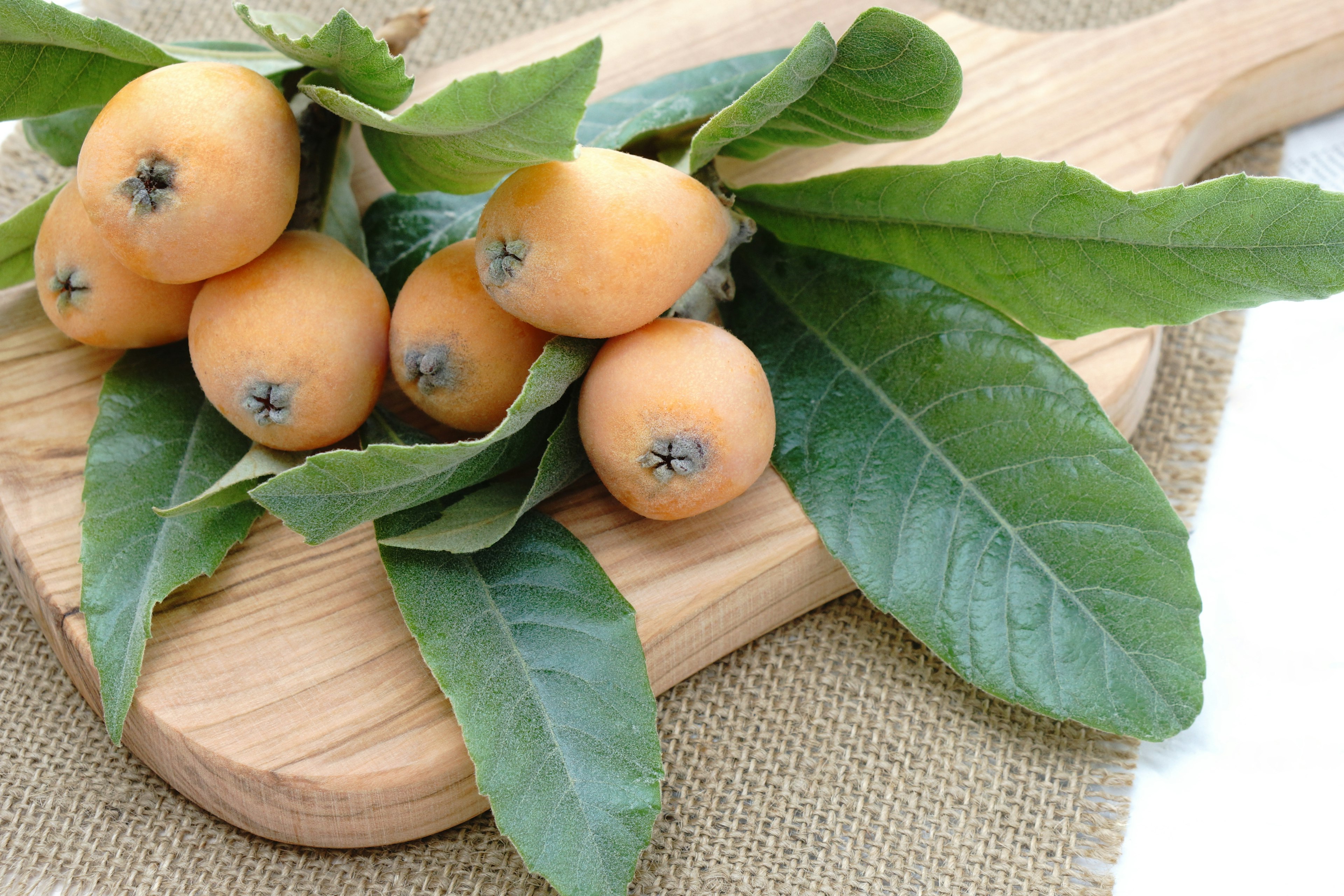 Buah loquat dengan daun hijau di atas papan kayu