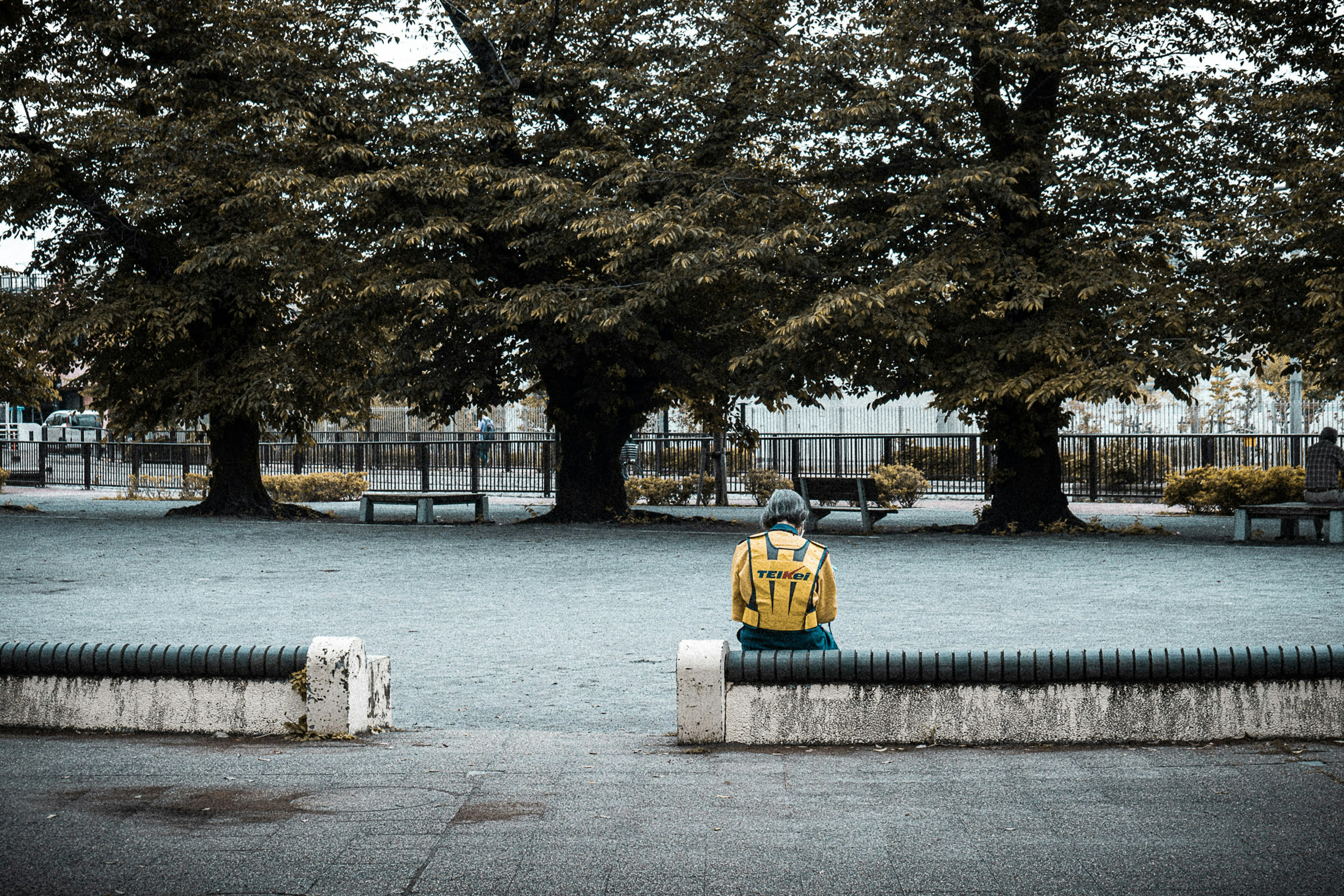 Person sitting on a bench with a yellow backpack surrounded by large trees