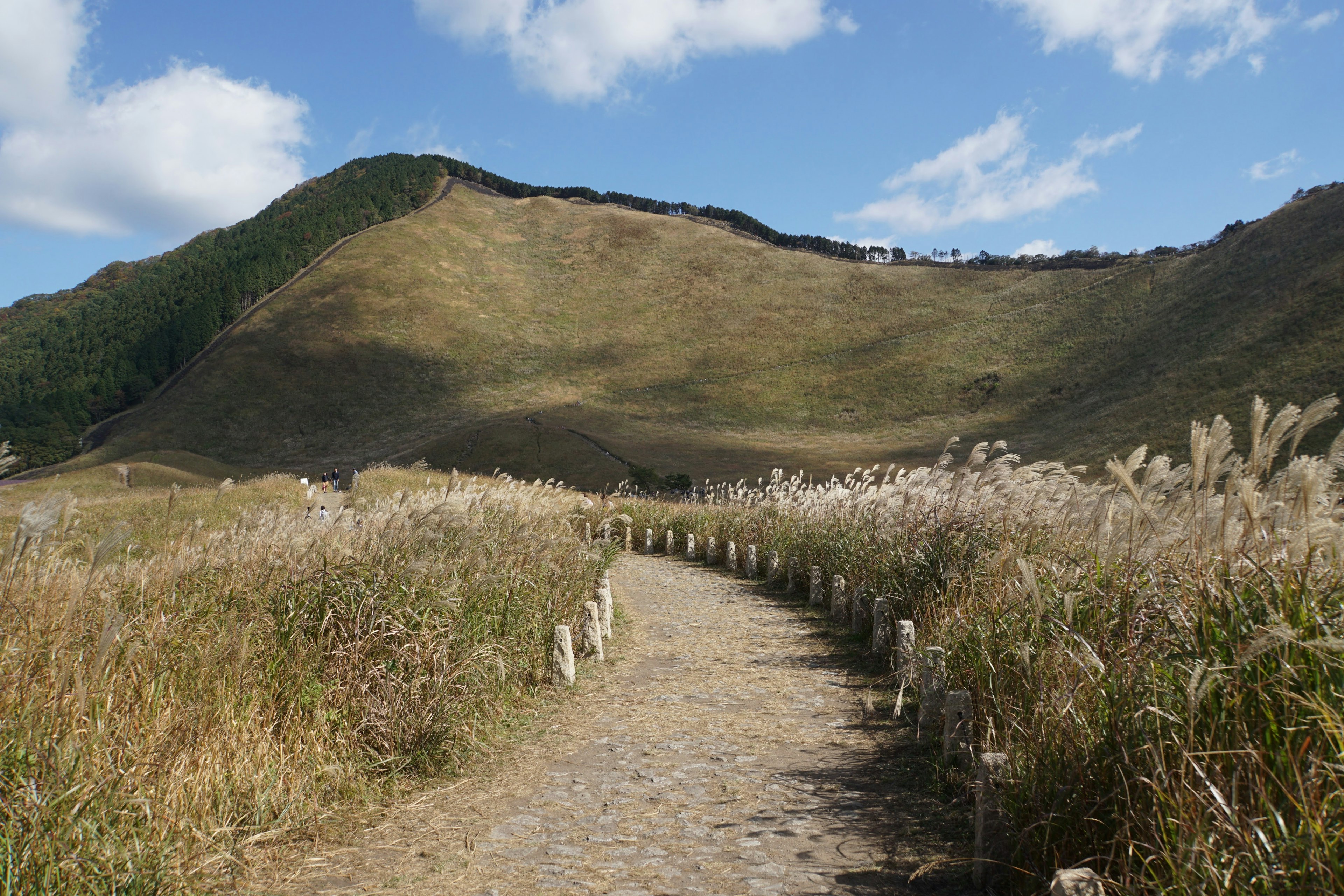 Jalan setapak di padang rumput dengan bukit hijau di latar belakang