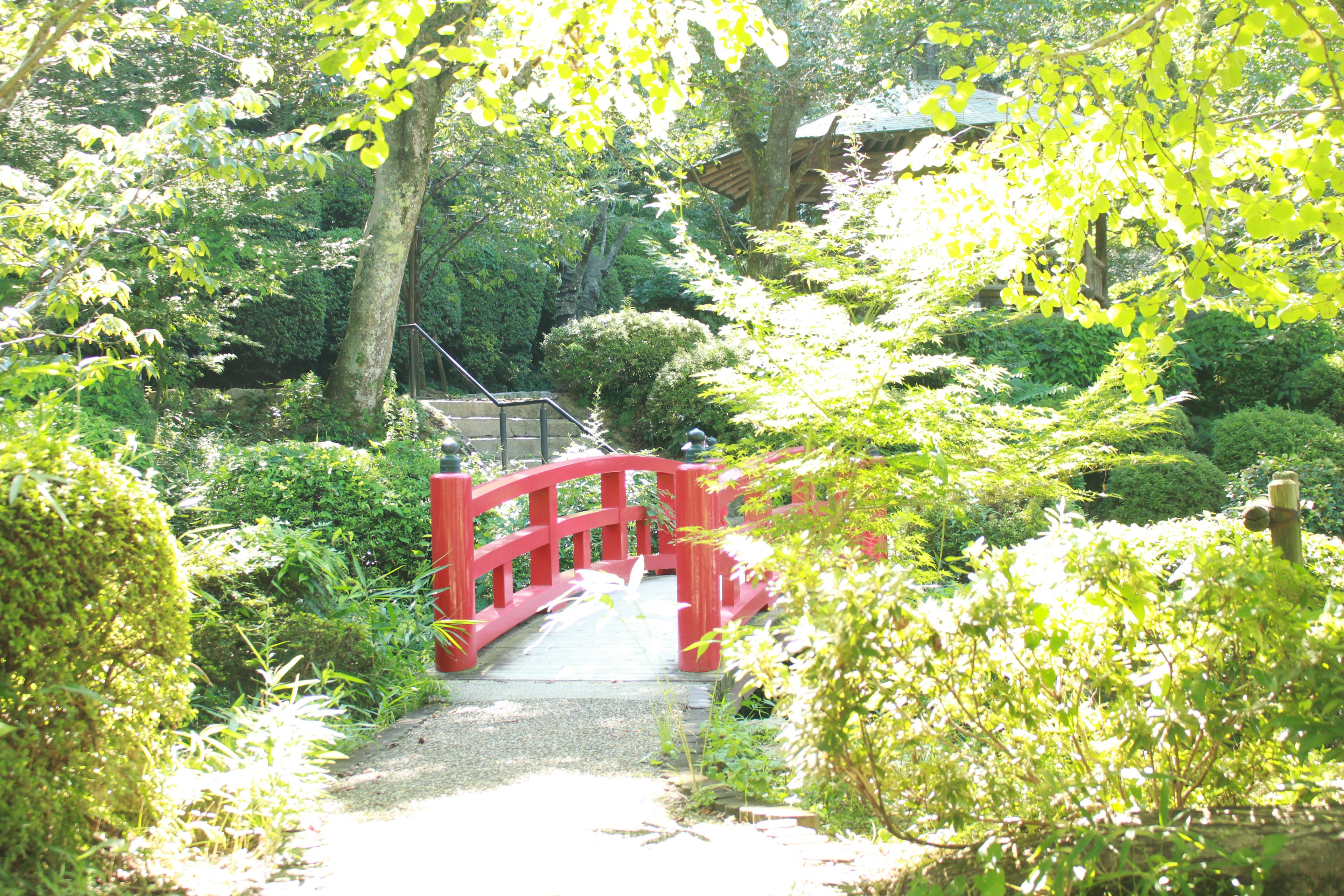 Un pont rouge dans un jardin verdoyant