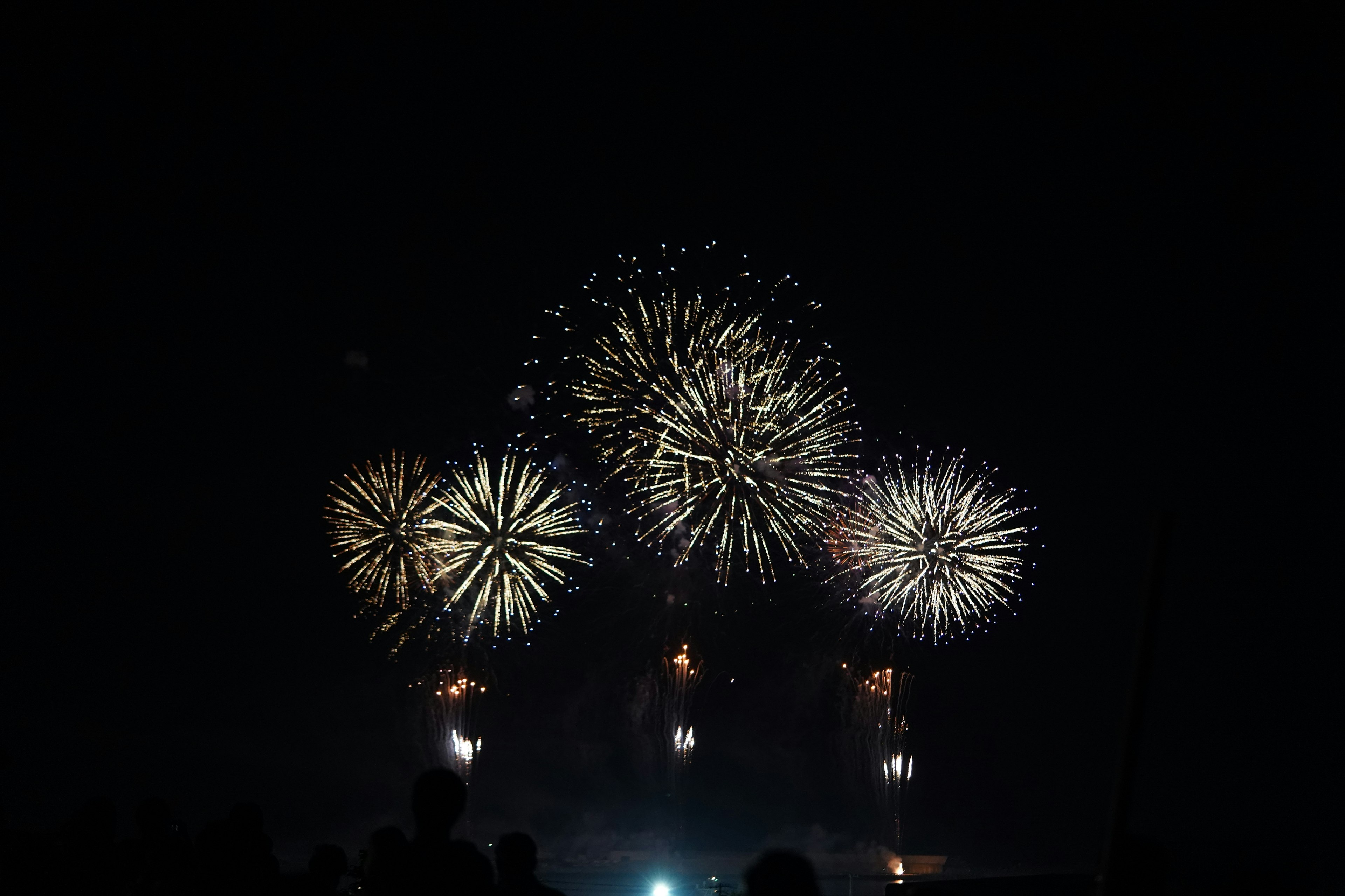 Espectáculo de fuegos artificiales coloridos en el cielo nocturno