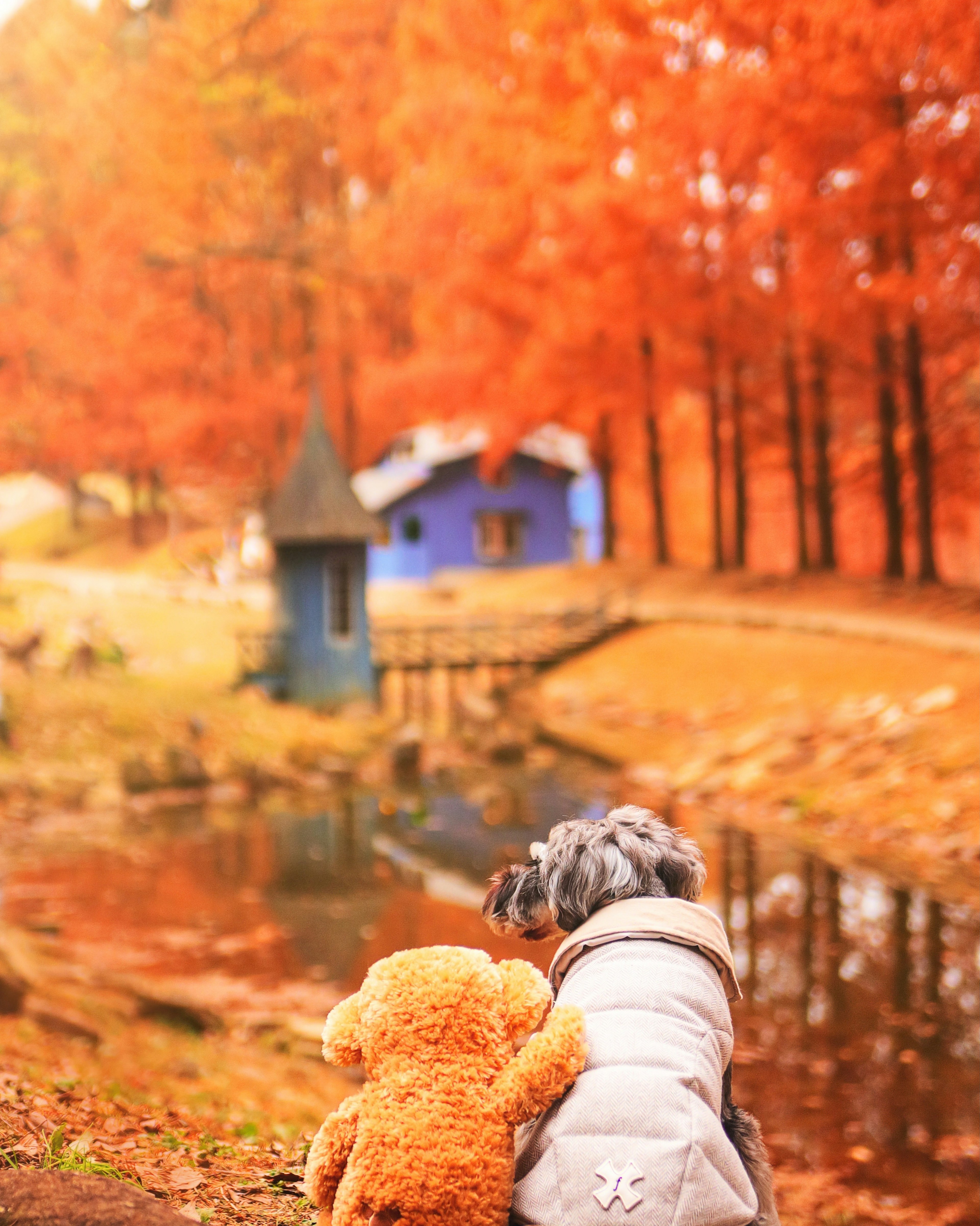 Dog and teddy bear sitting together by a serene lake surrounded by orange trees