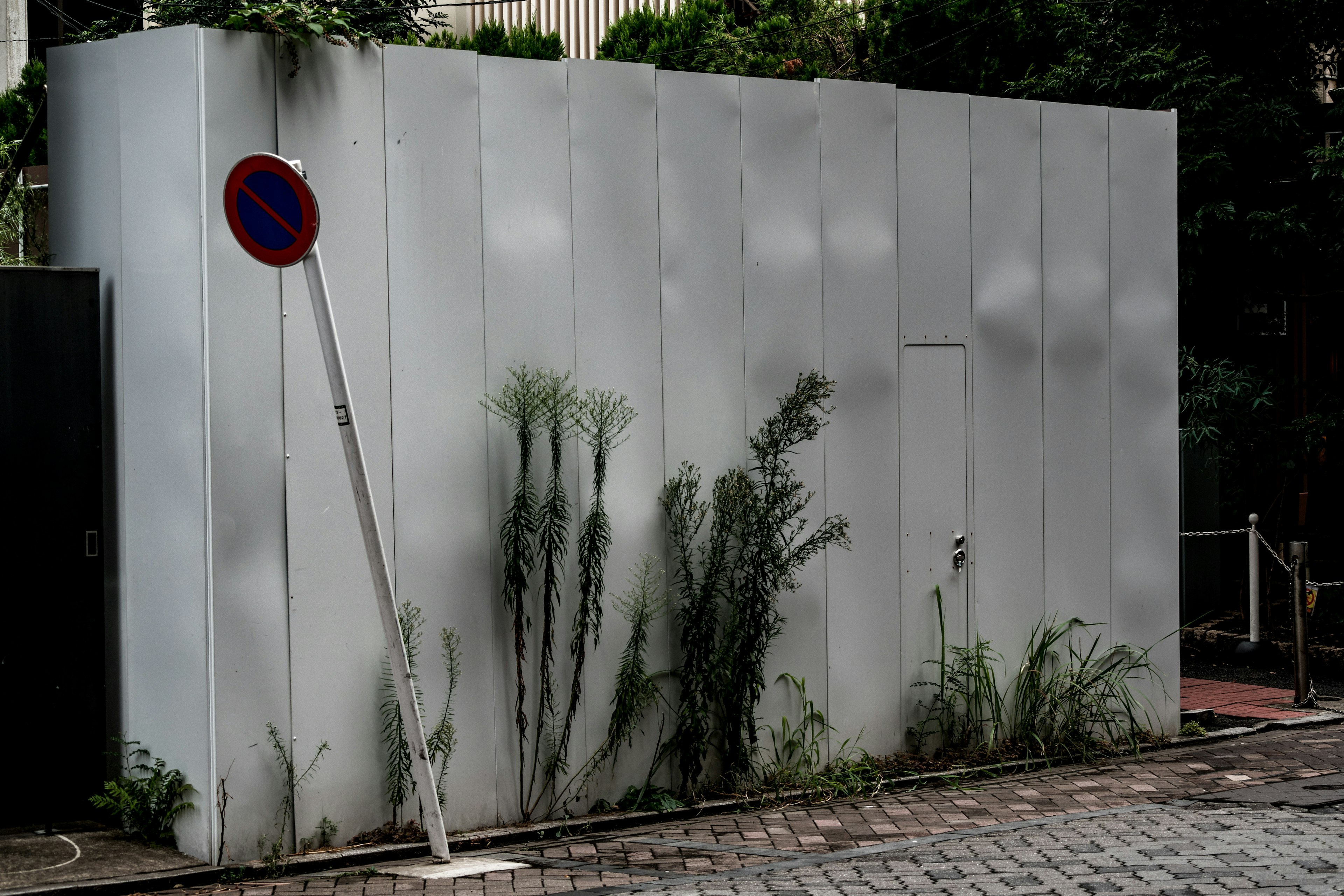 Photo d'un mur blanc avec de l'herbe envahissante et un panneau de stationnement incliné