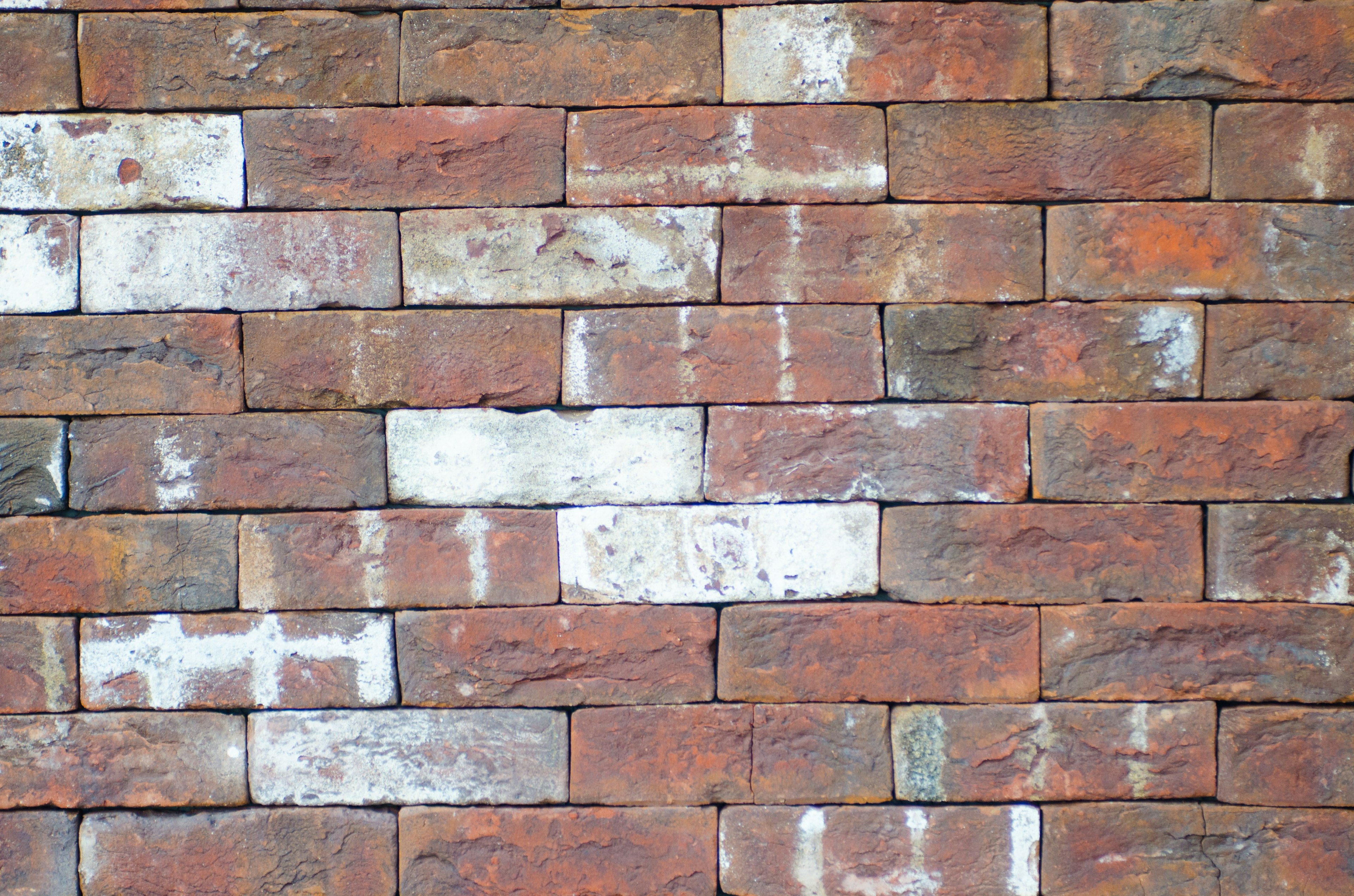 Pared texturizada hecha de ladrillos rojos y blancos alternos