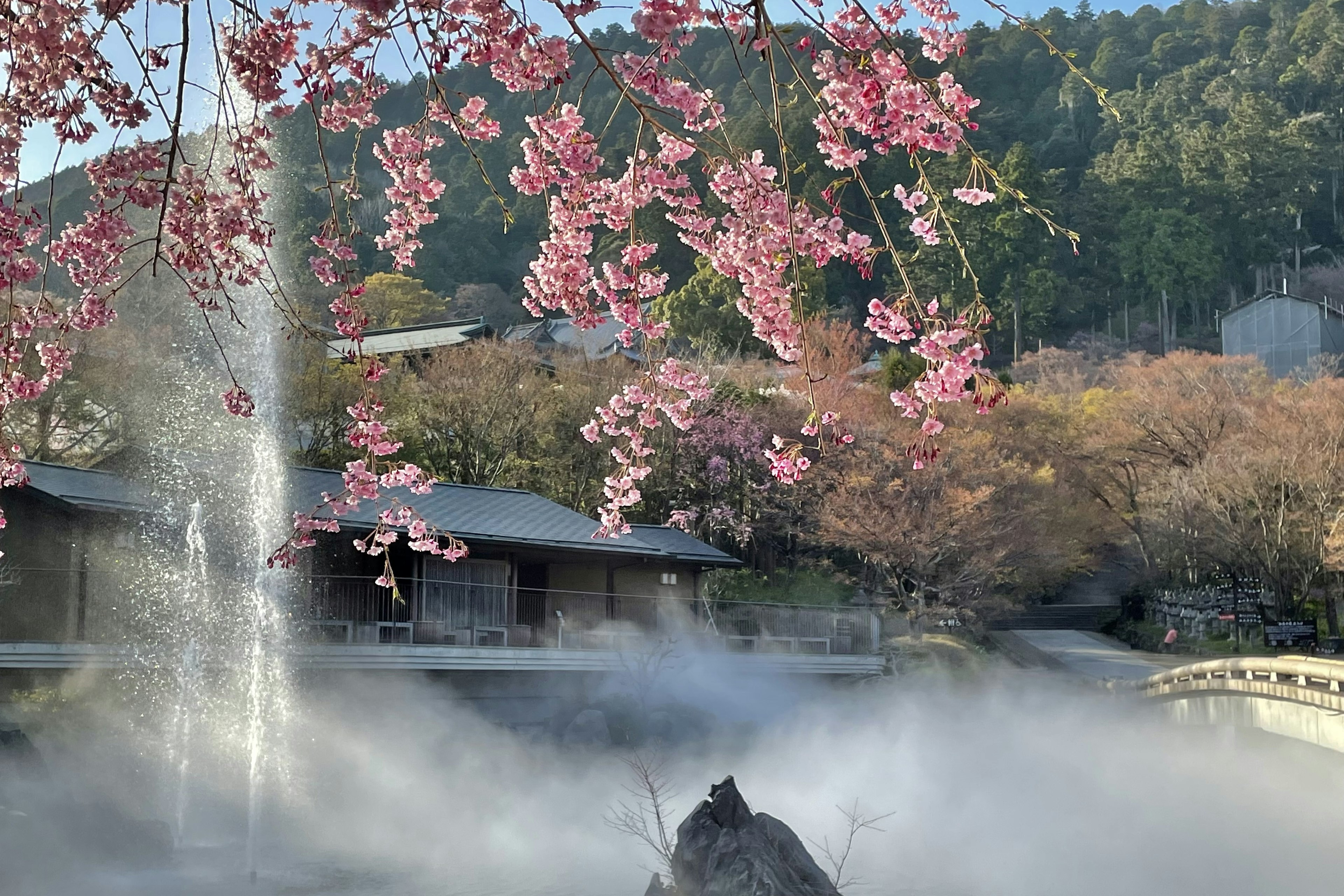 Vista escénica de cerezos en flor con niebla sobre una fuente termal y montañas