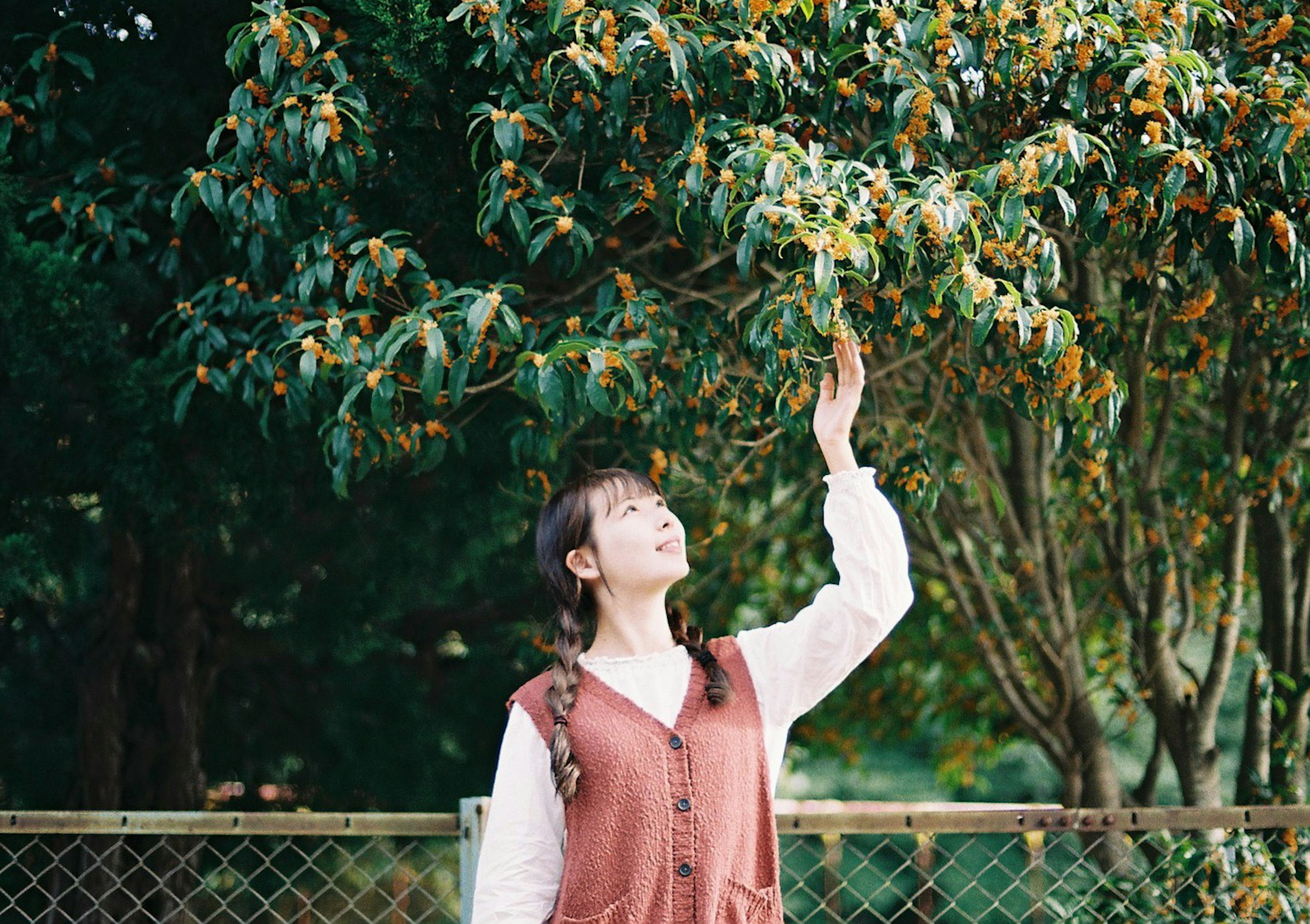 A woman reaching for leaves on a tree in a serene park setting