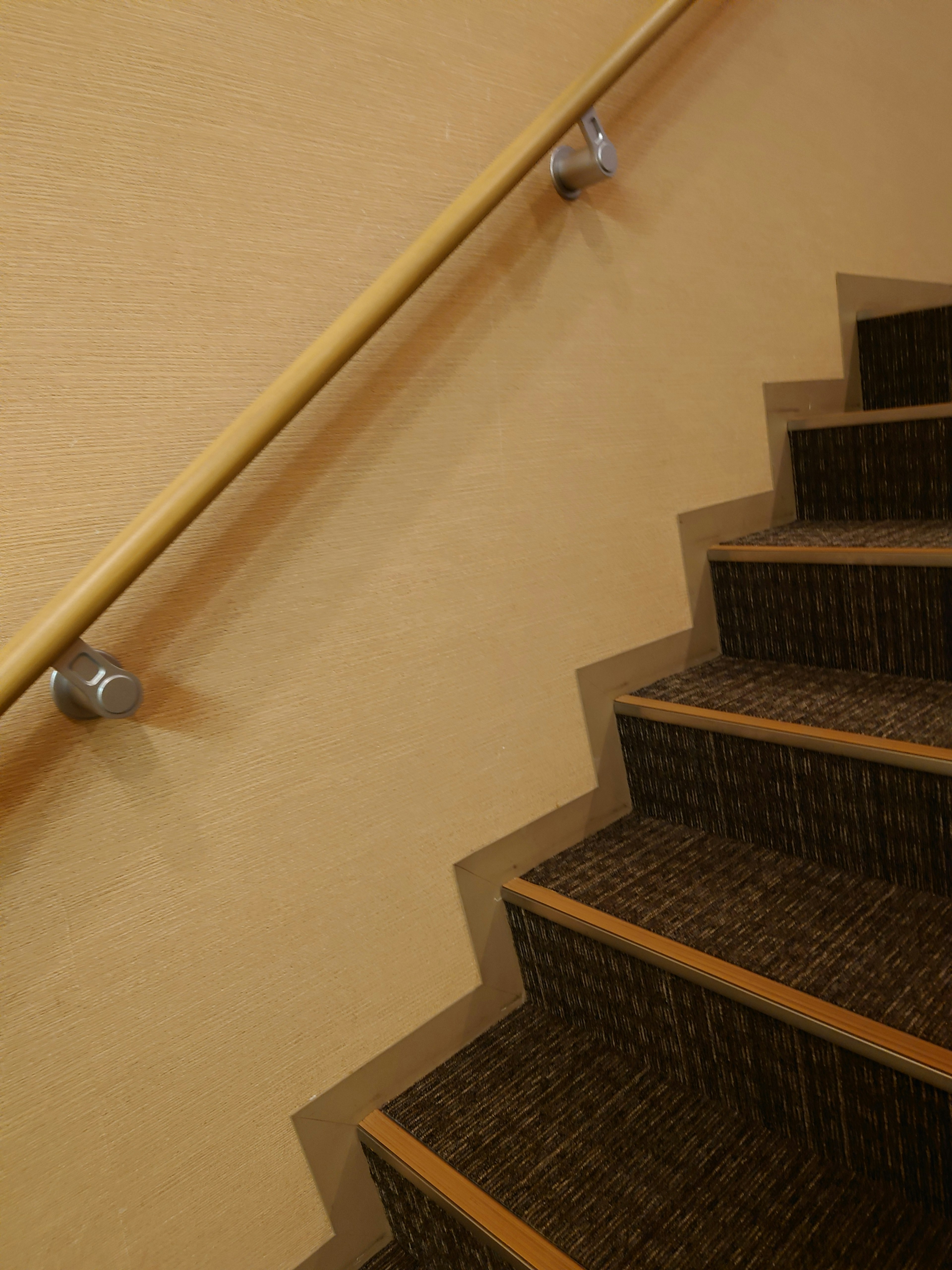 Close-up of stairs with a wooden railing and textured carpet steps