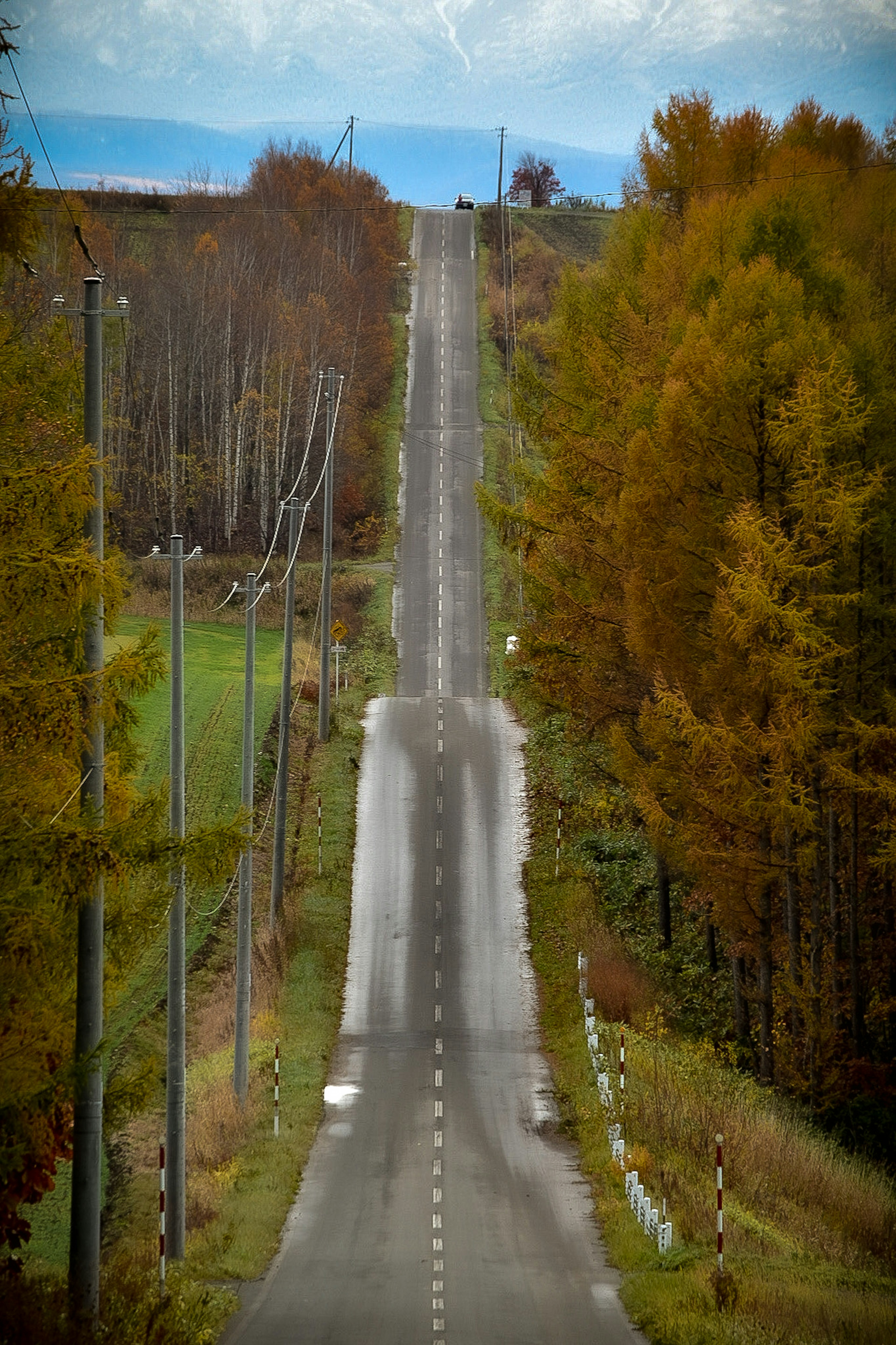 Lange gerade Straße umgeben von herbstlichen Bäumen