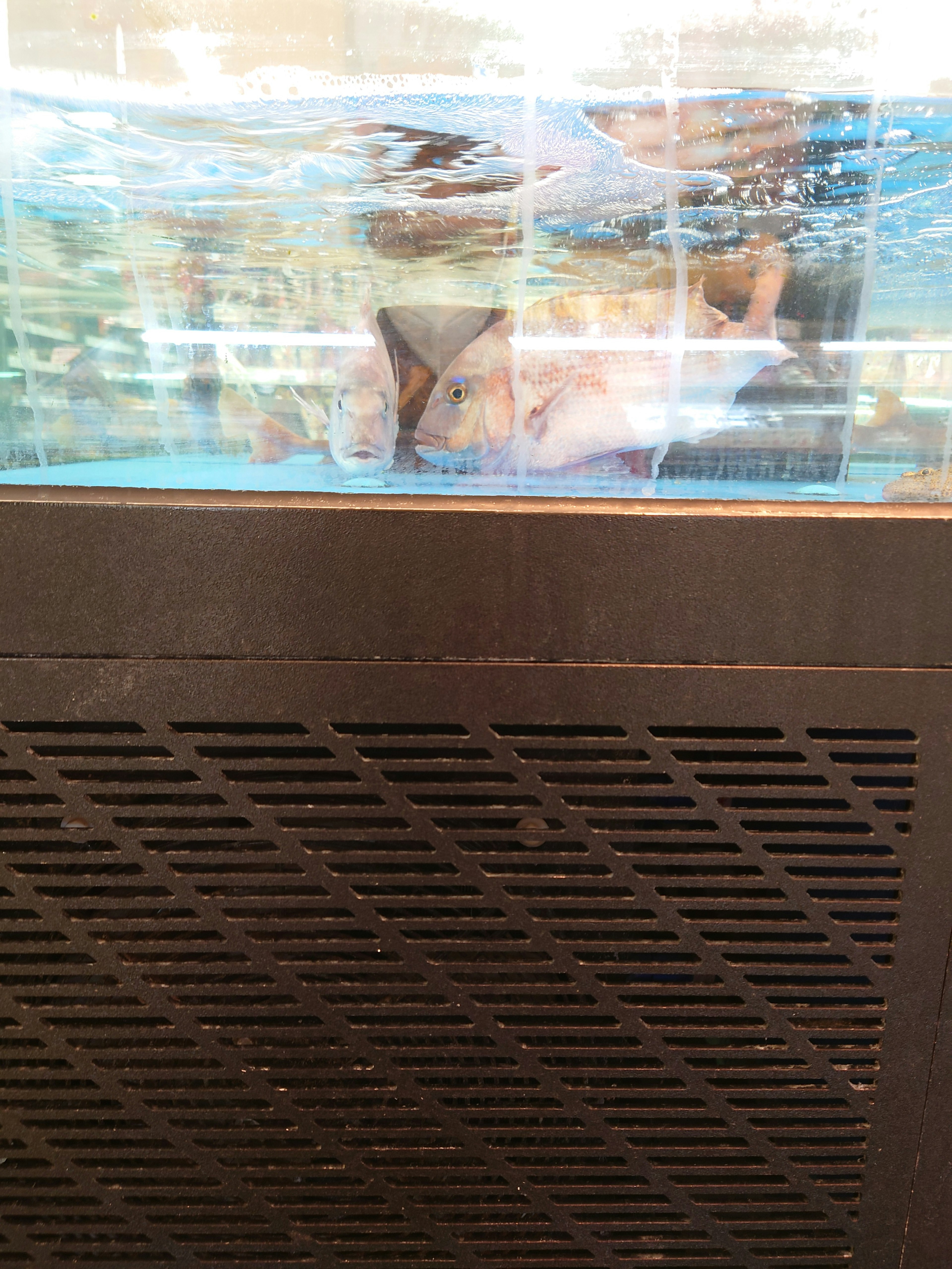 People visible in a tank with ripples on the water surface