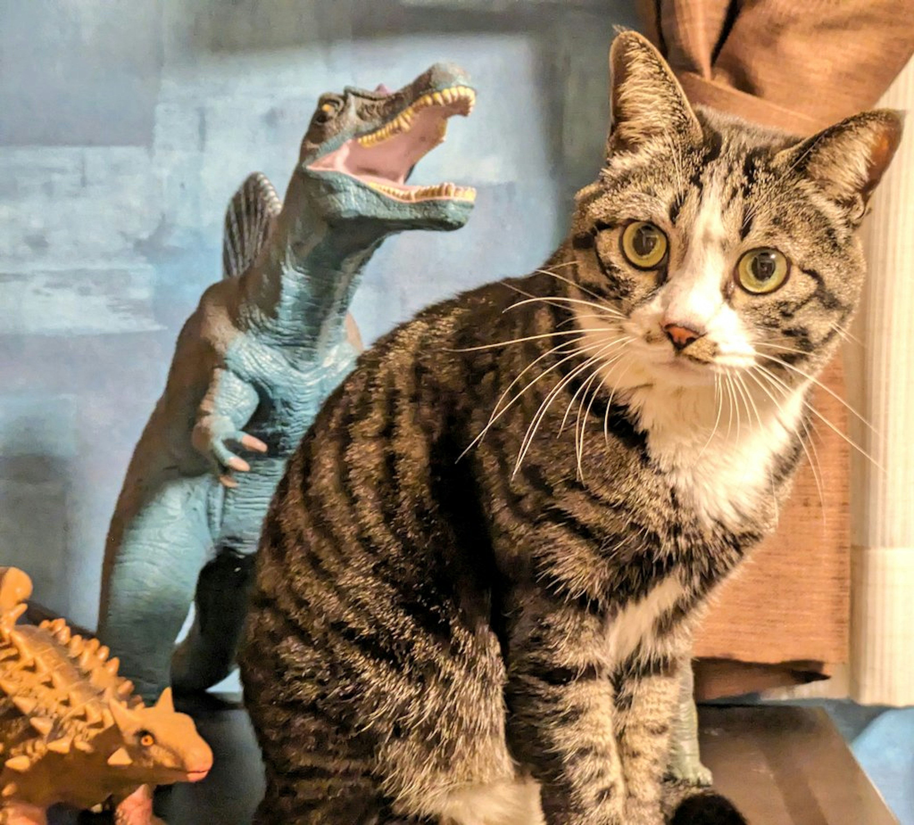 A cat sitting next to a dinosaur figure in a playful scene