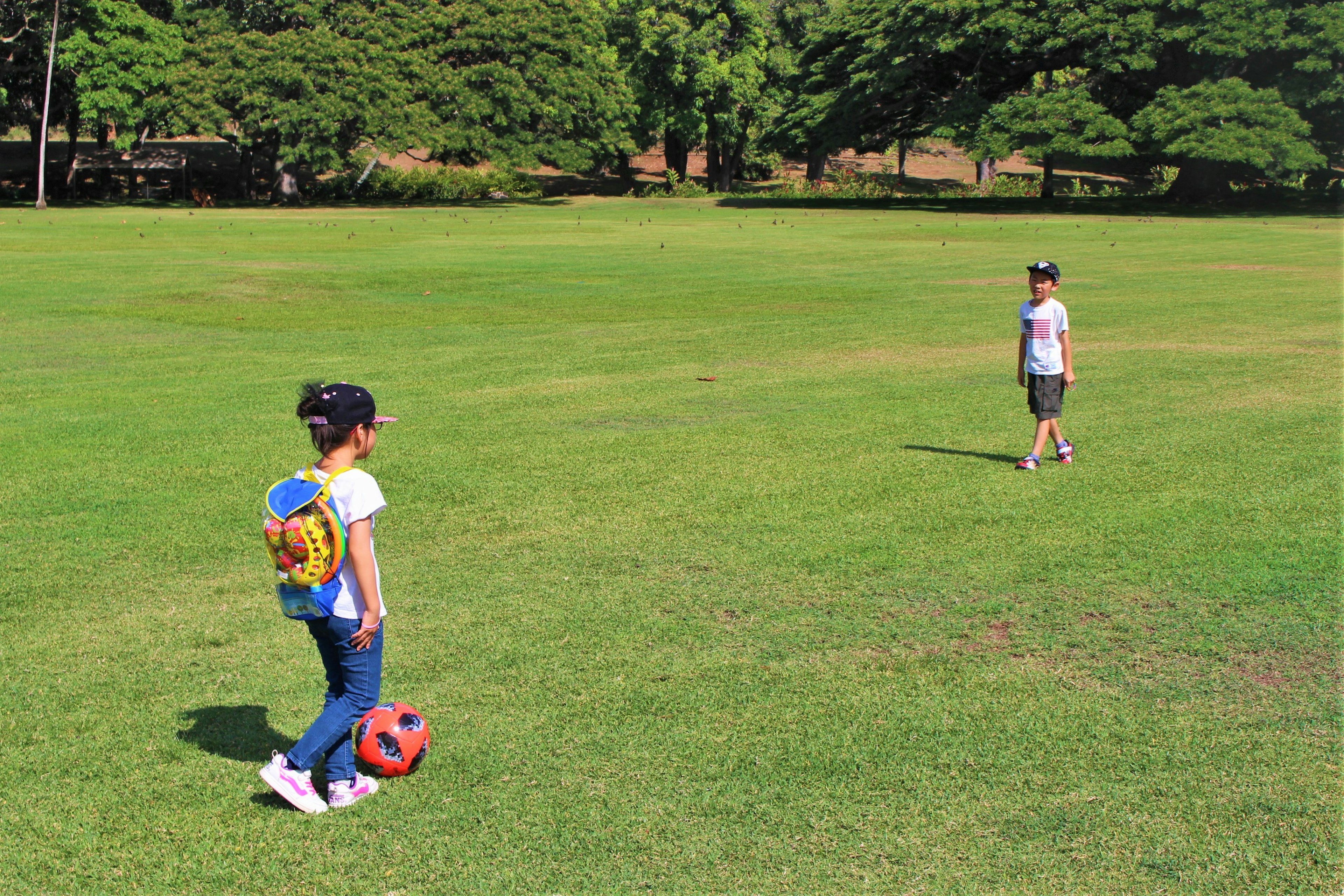 公園でサッカーボールで遊ぶ子供たちの写真