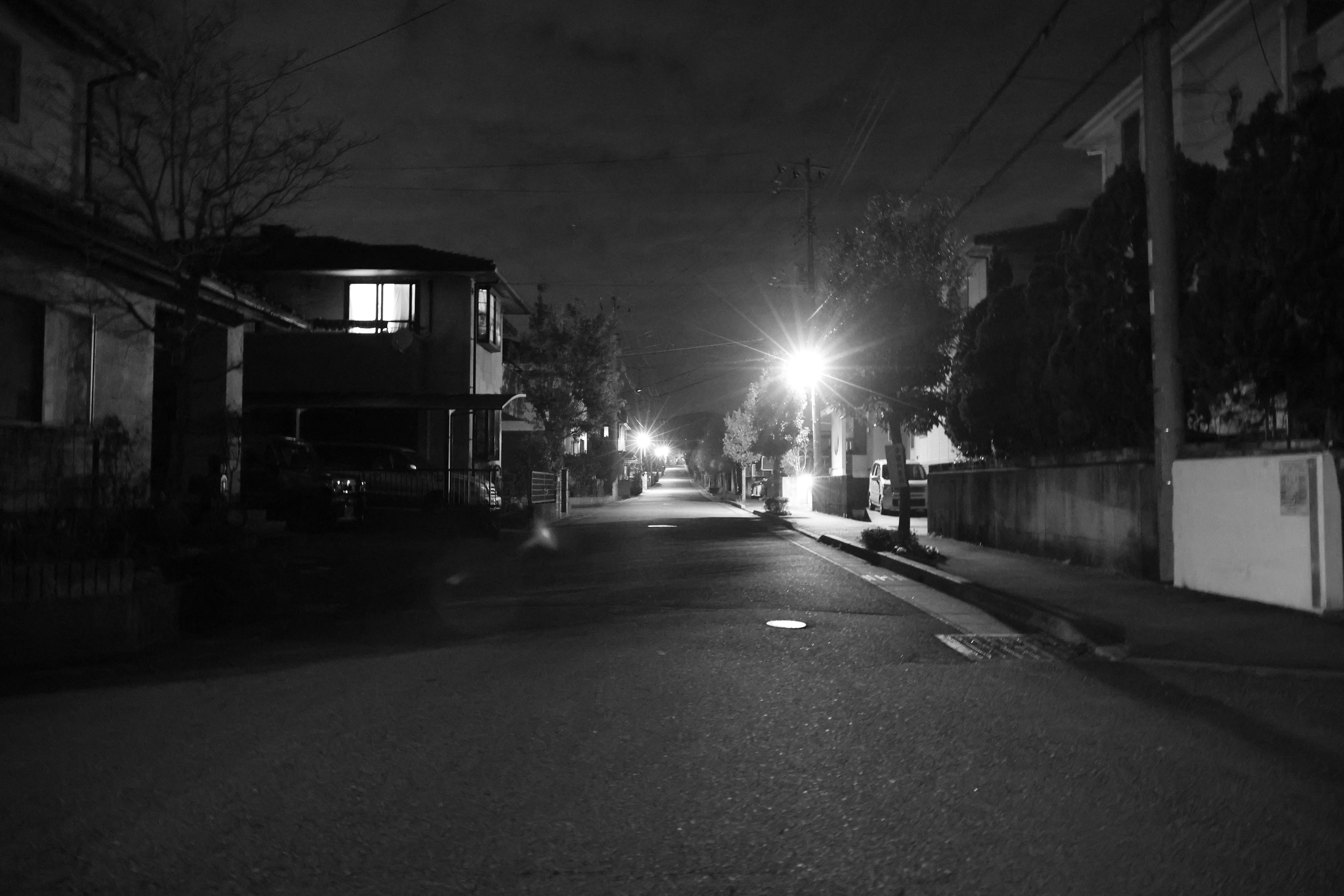 A quiet street at night with streetlights illuminating the scene in black and white