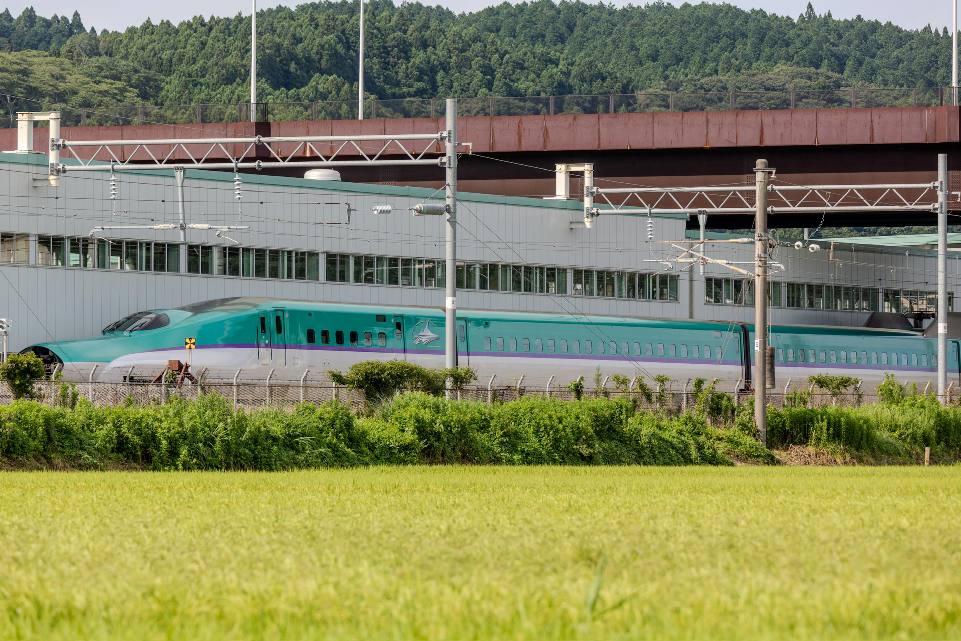 新幹線が田んぼの近くに停車している様子