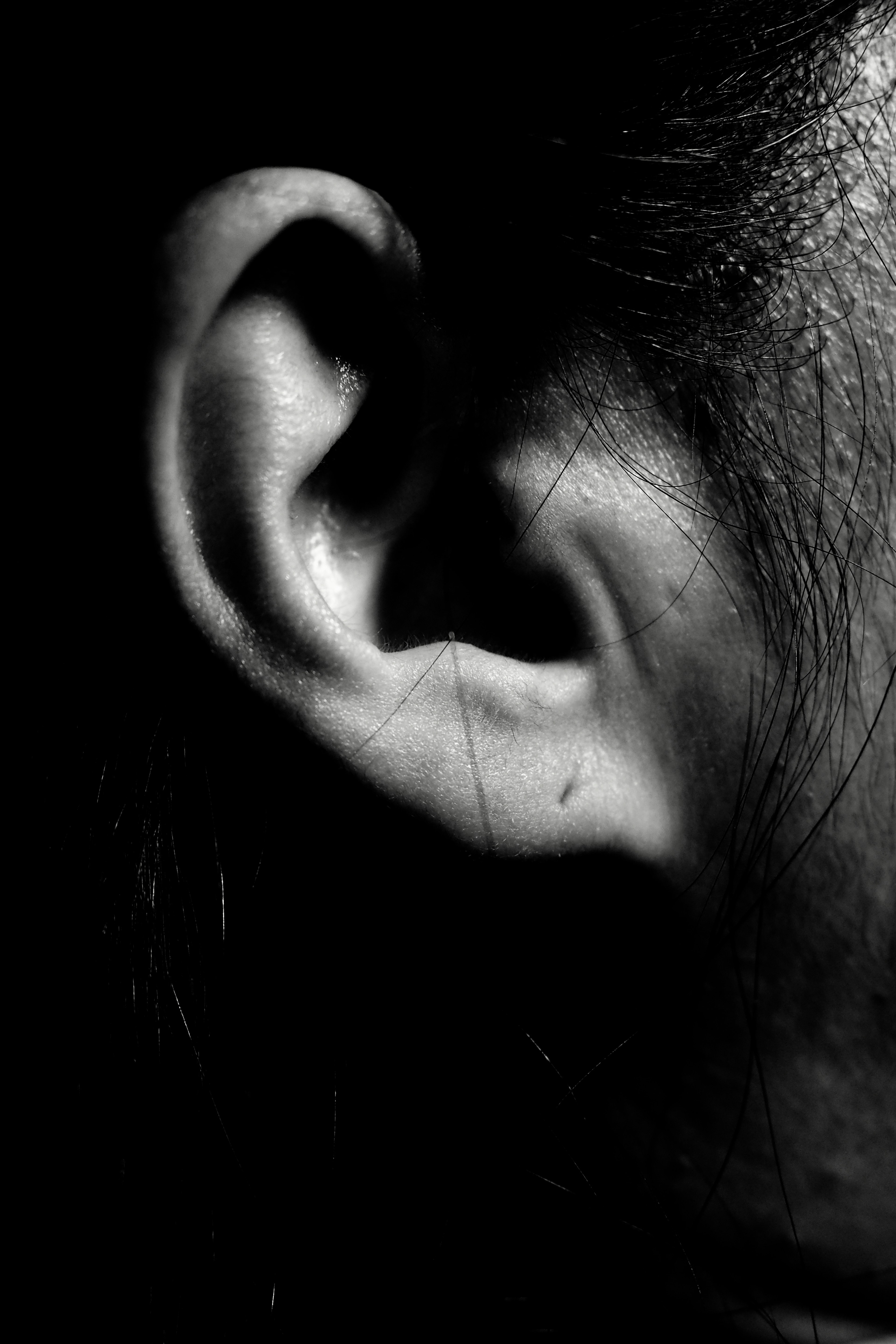 Image en gros plan d'une oreille avec un fort contraste en noir et blanc