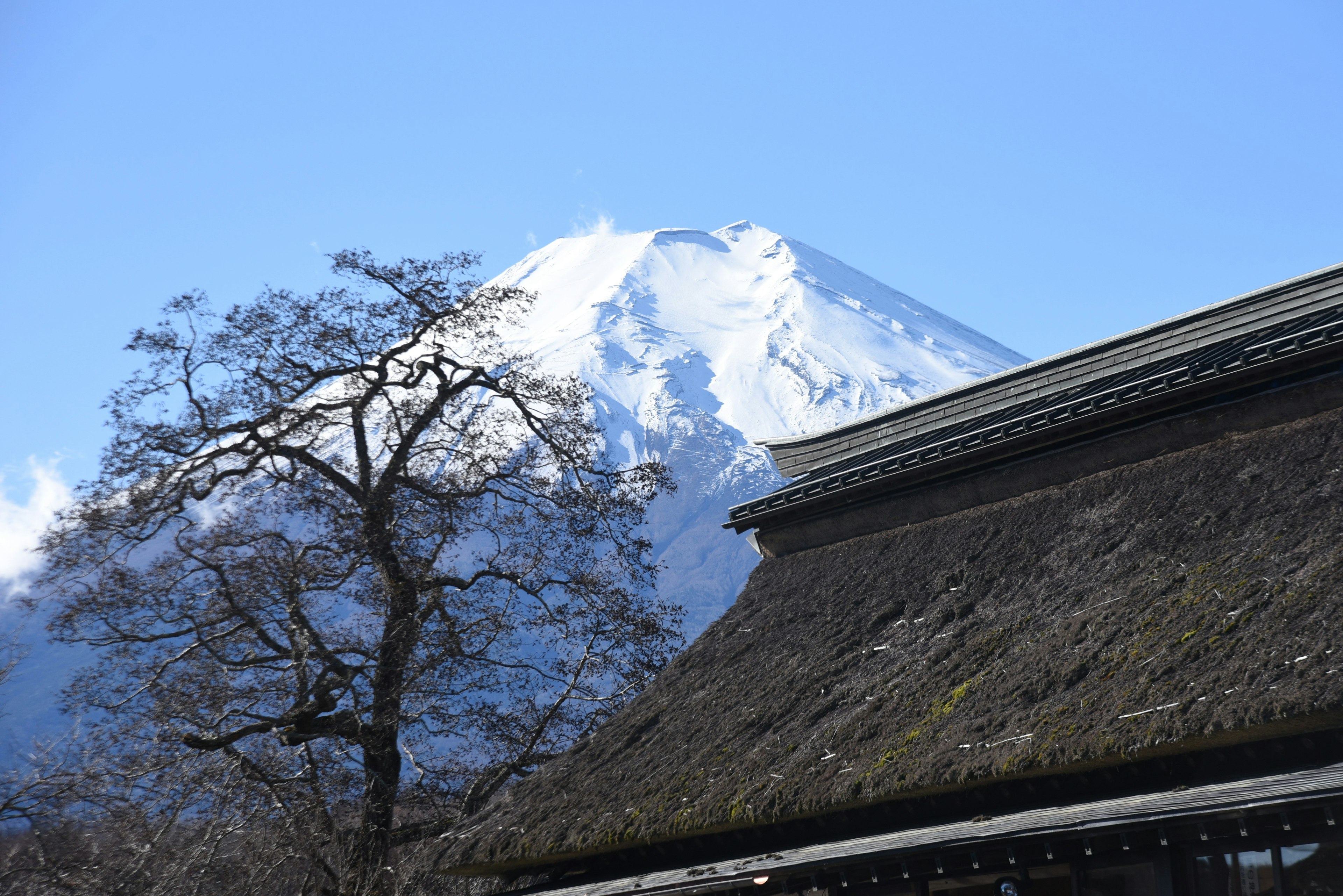 View of snow-capped Mount Fuji with a traditional Japanese thatched roof