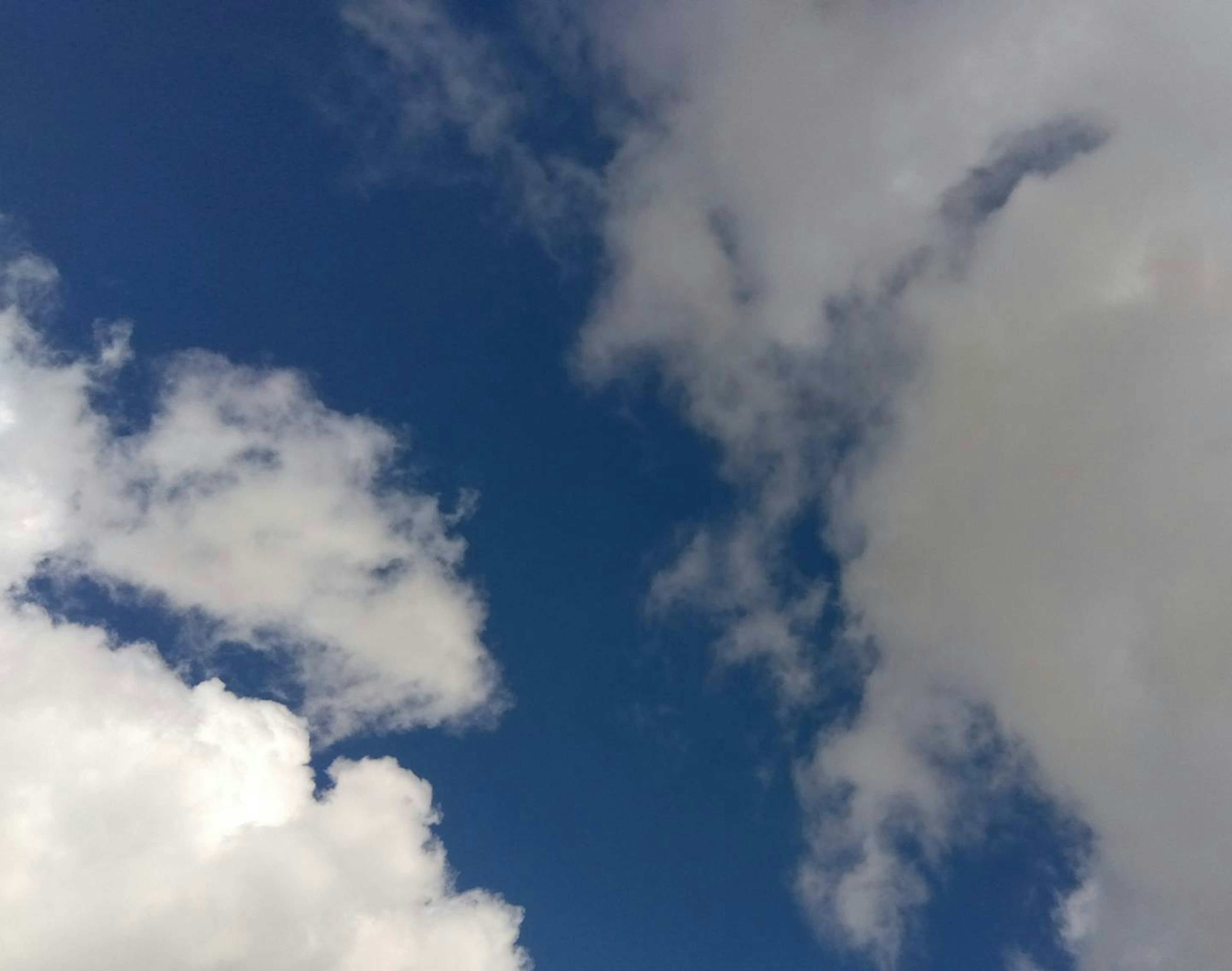 Ciel bleu avec des nuages blancs duveteux