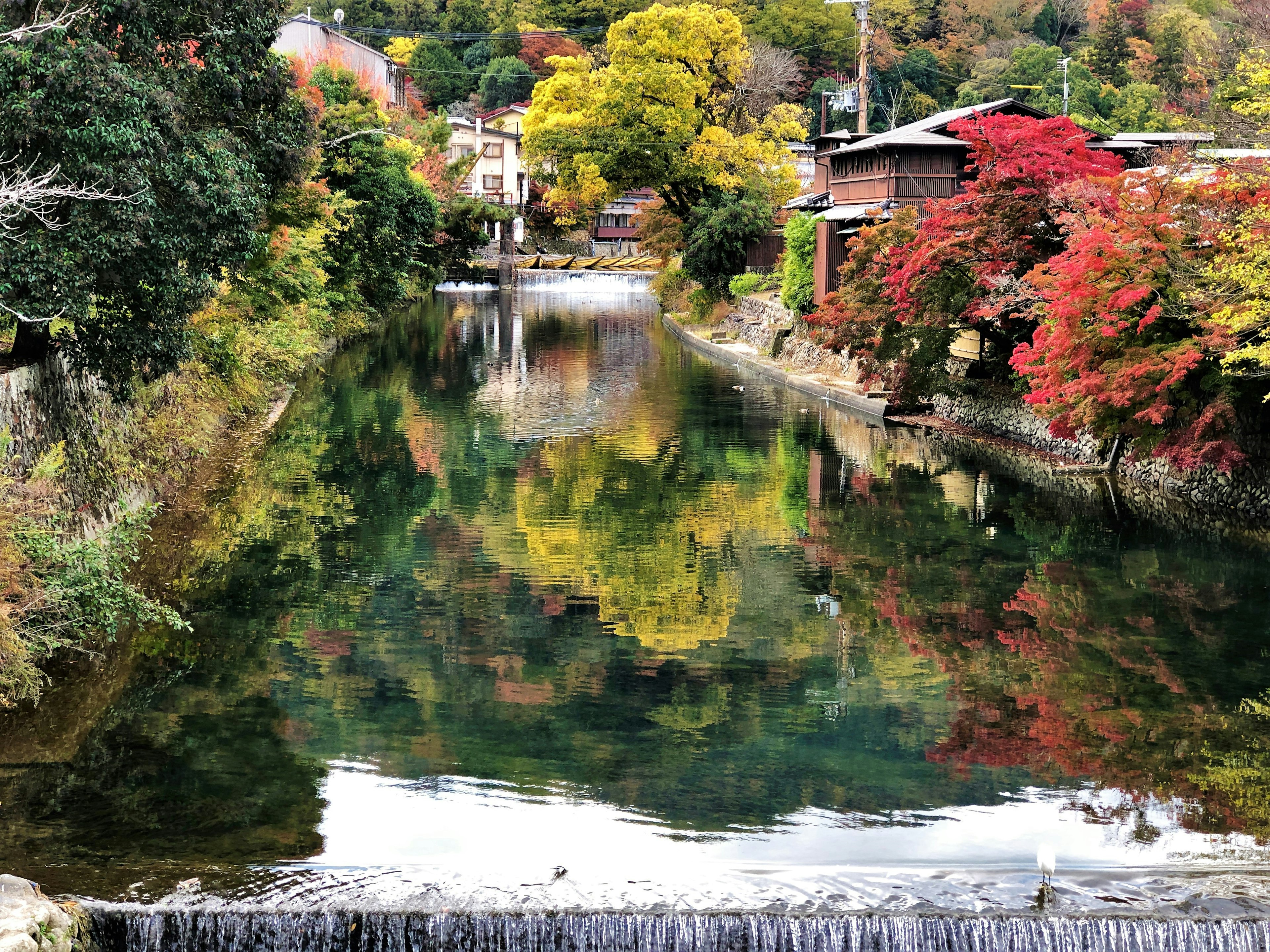 Paesaggio fluviale sereno che riflette un fogliame autunnale vibrante