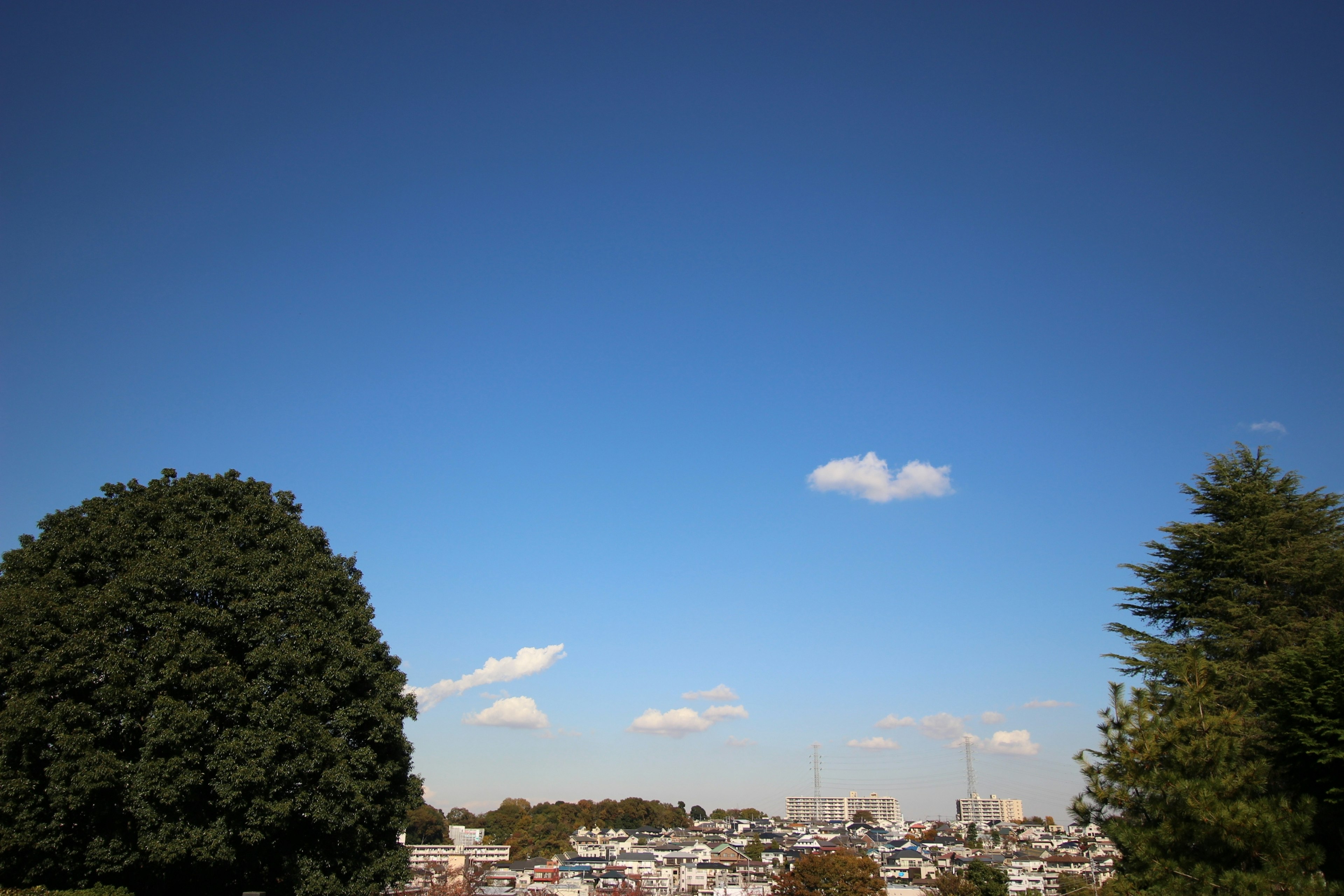 Paesaggio con alberi verdi sotto un cielo blu con nuvole bianche