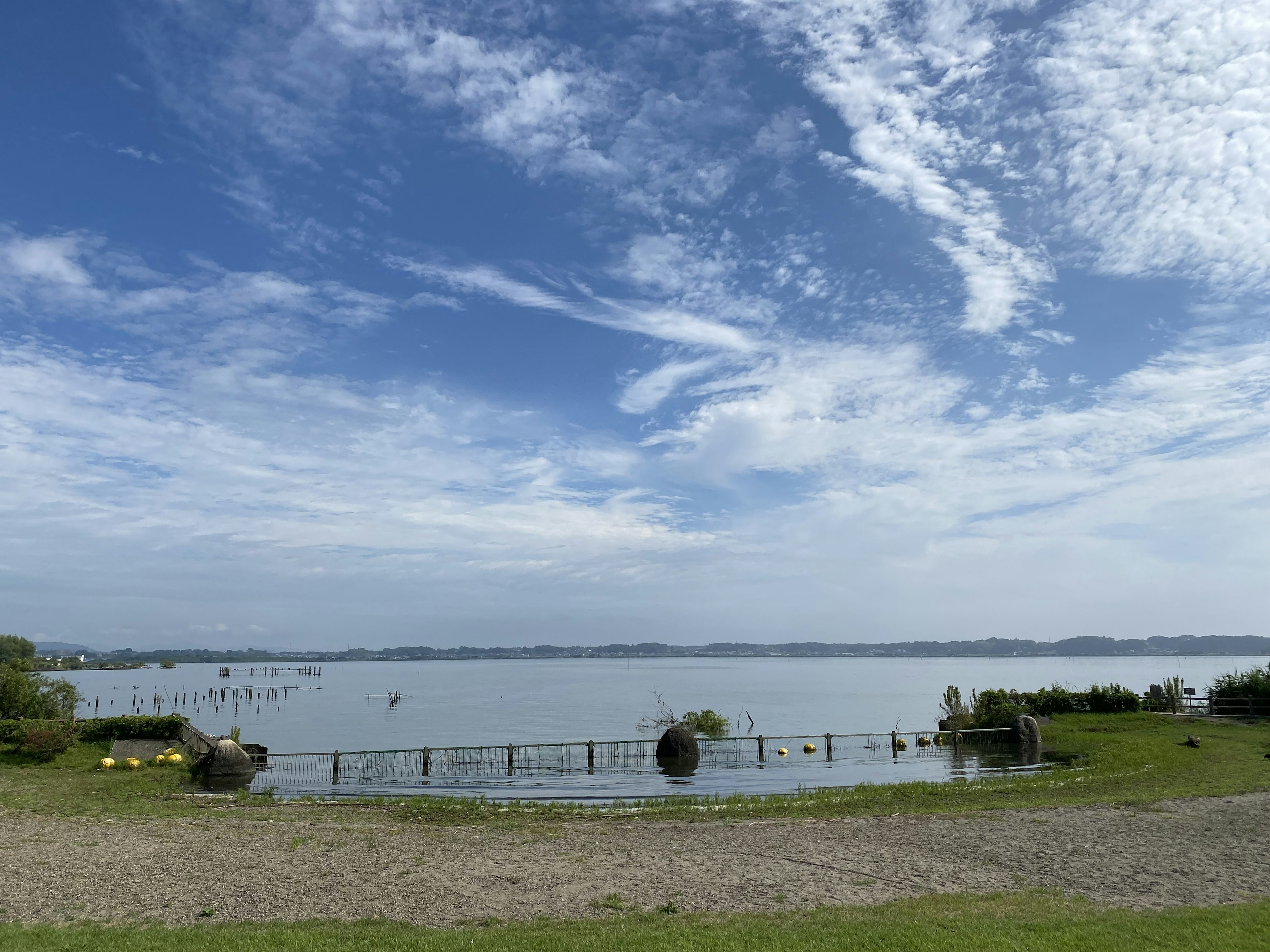 Vue panoramique d'un lac calme sous un ciel bleu avec de l'herbe verte