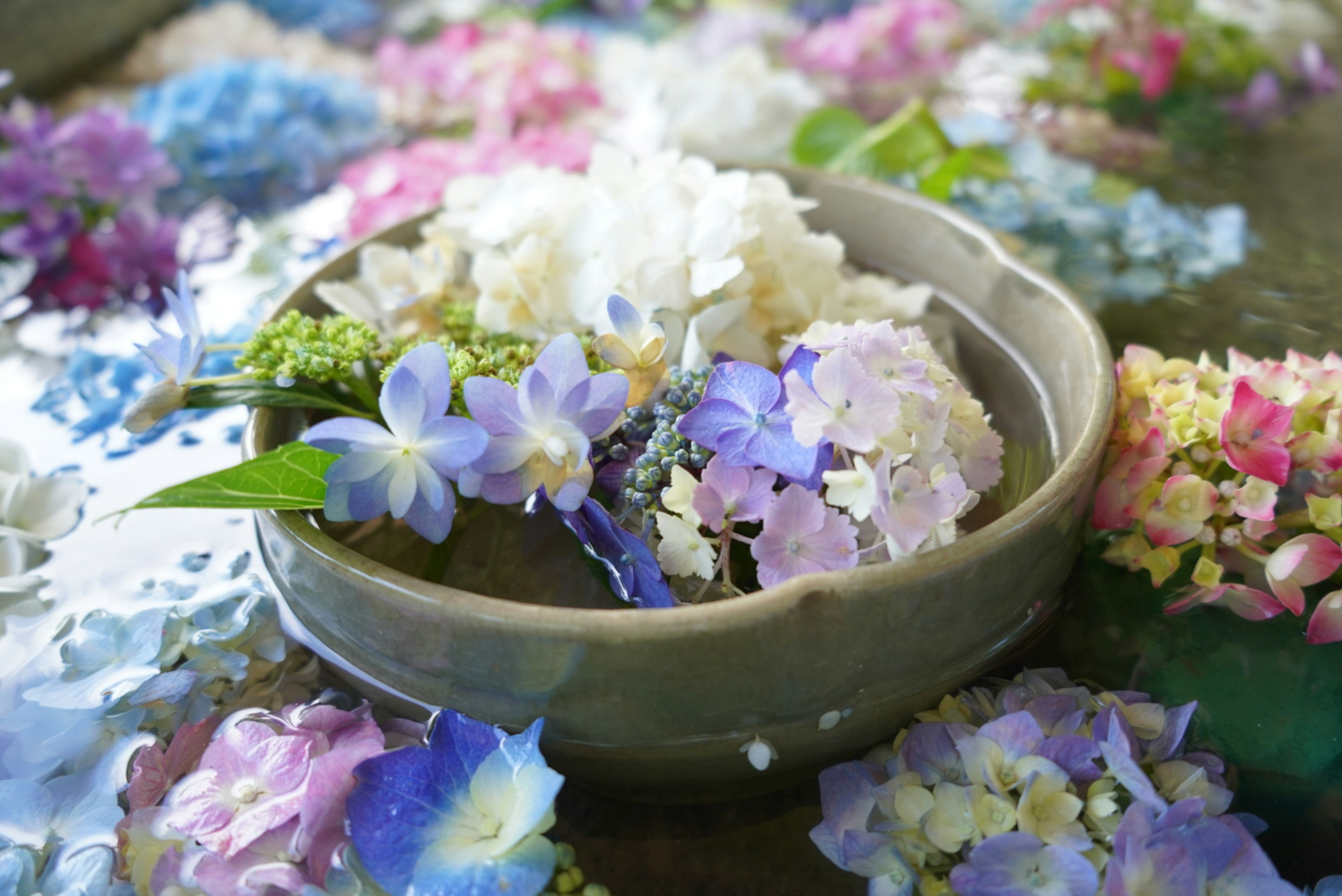 Beautiful arrangement of floating flowers and a ceramic bowl on water