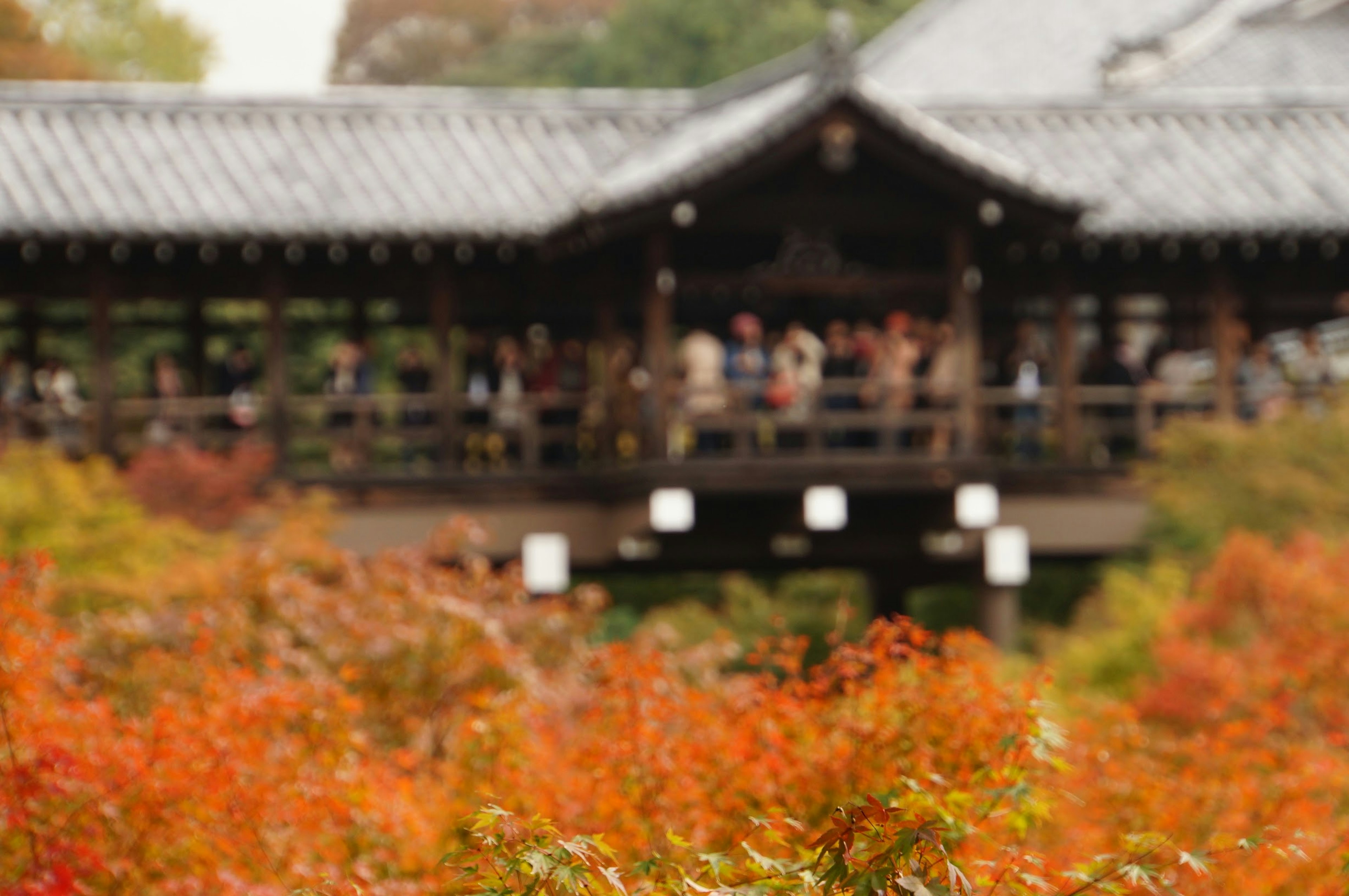 Wooden bridge surrounded by vibrant autumn foliage with people