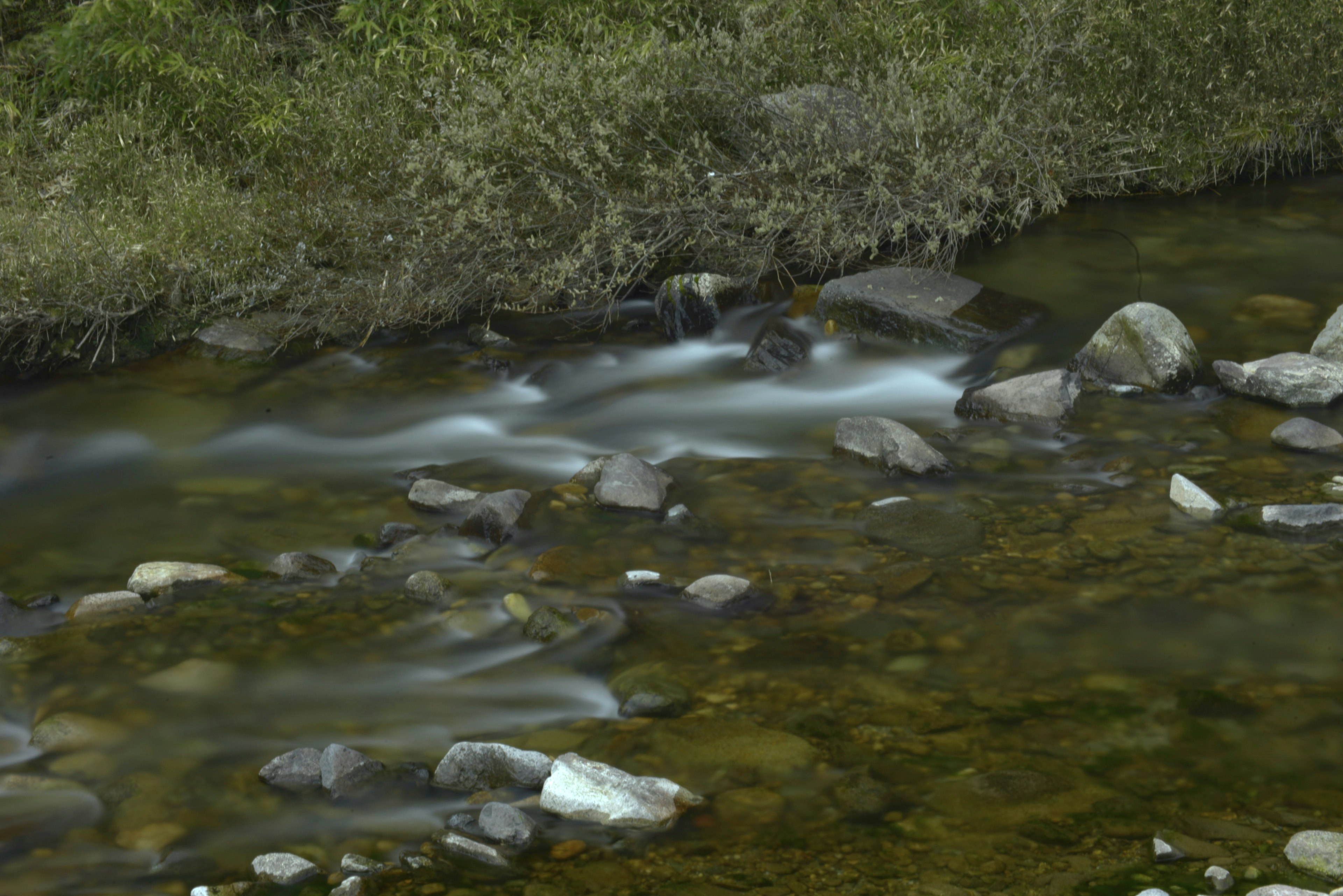 Ruisseau clair coulant sur des rochers à côté d'une verdure luxuriante