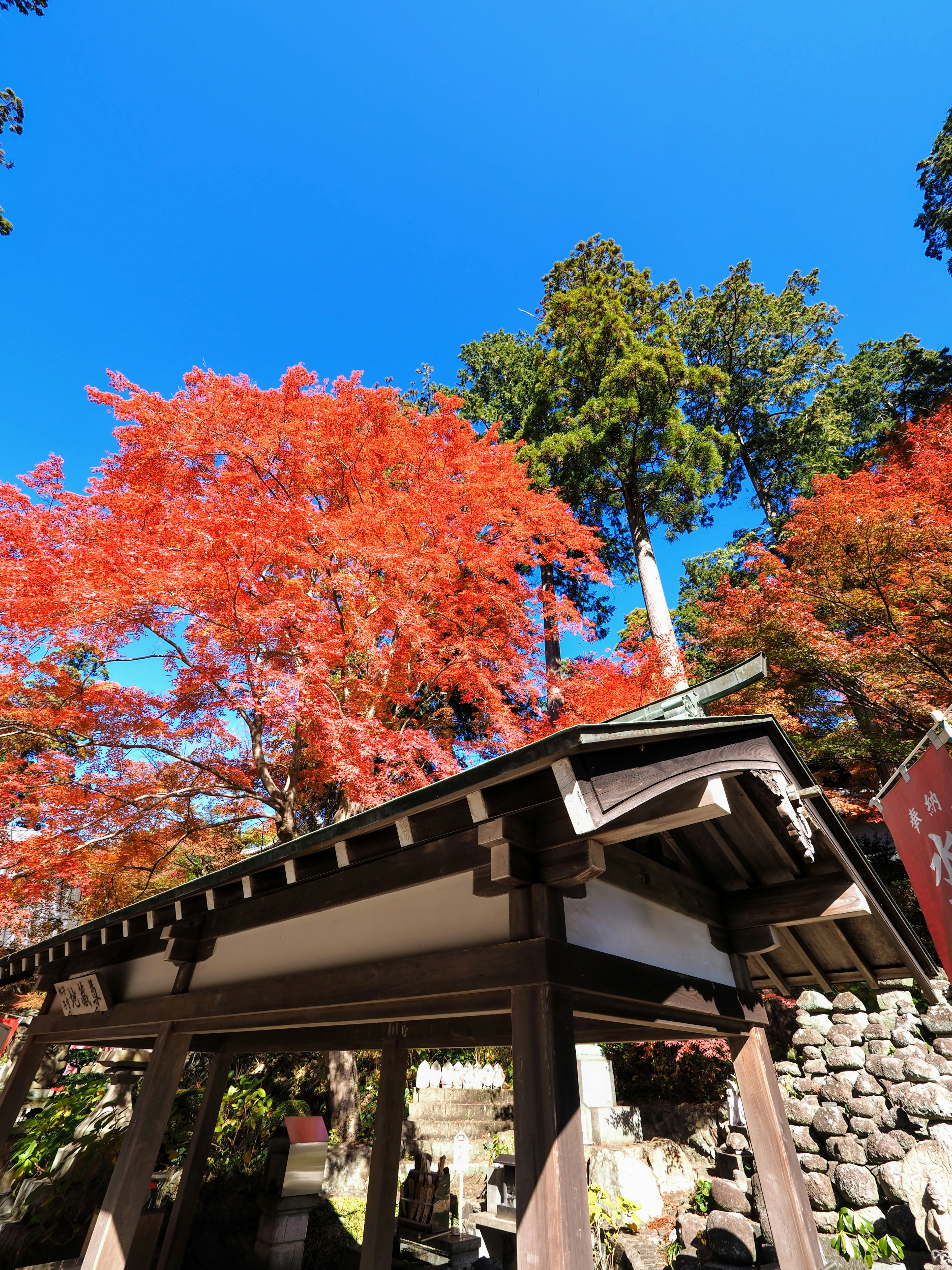 Scenic view featuring vibrant autumn leaves and trees under a clear blue sky