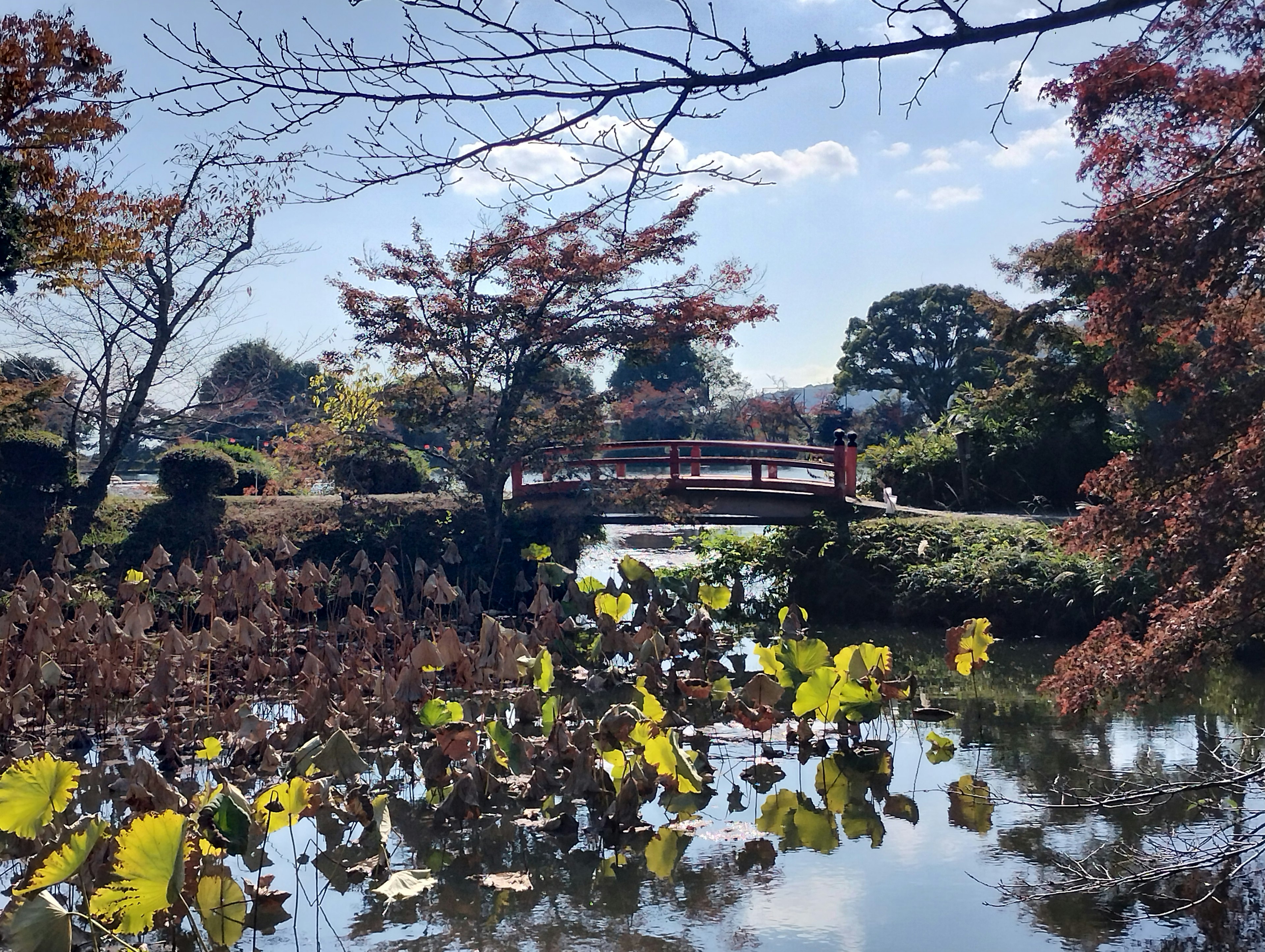 Malersicher Blick auf eine kleine Brücke über einen Teich umgeben von Herbstlaub