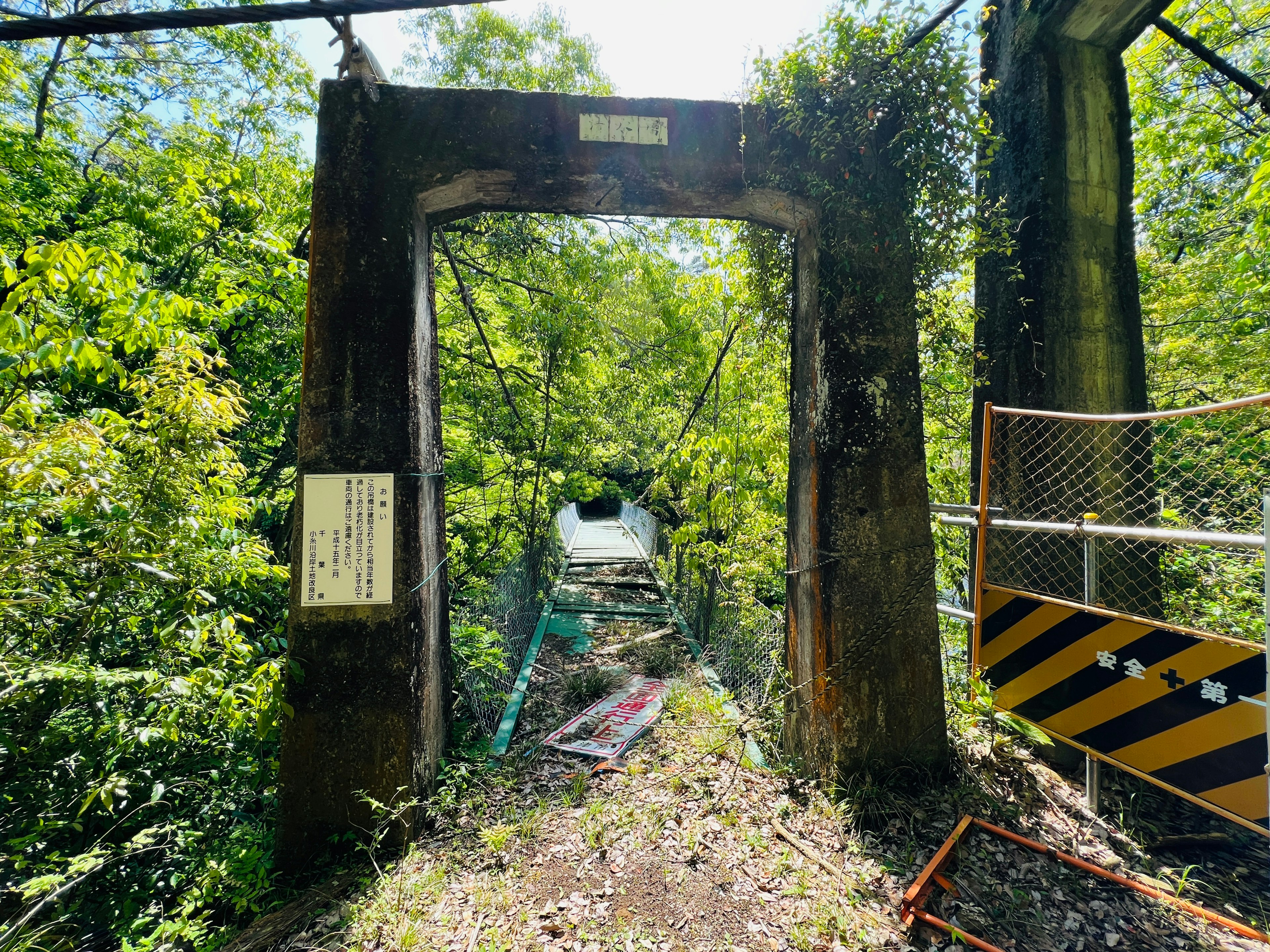 Arco di un vecchio ponte coperto di vegetazione circondato dalla natura