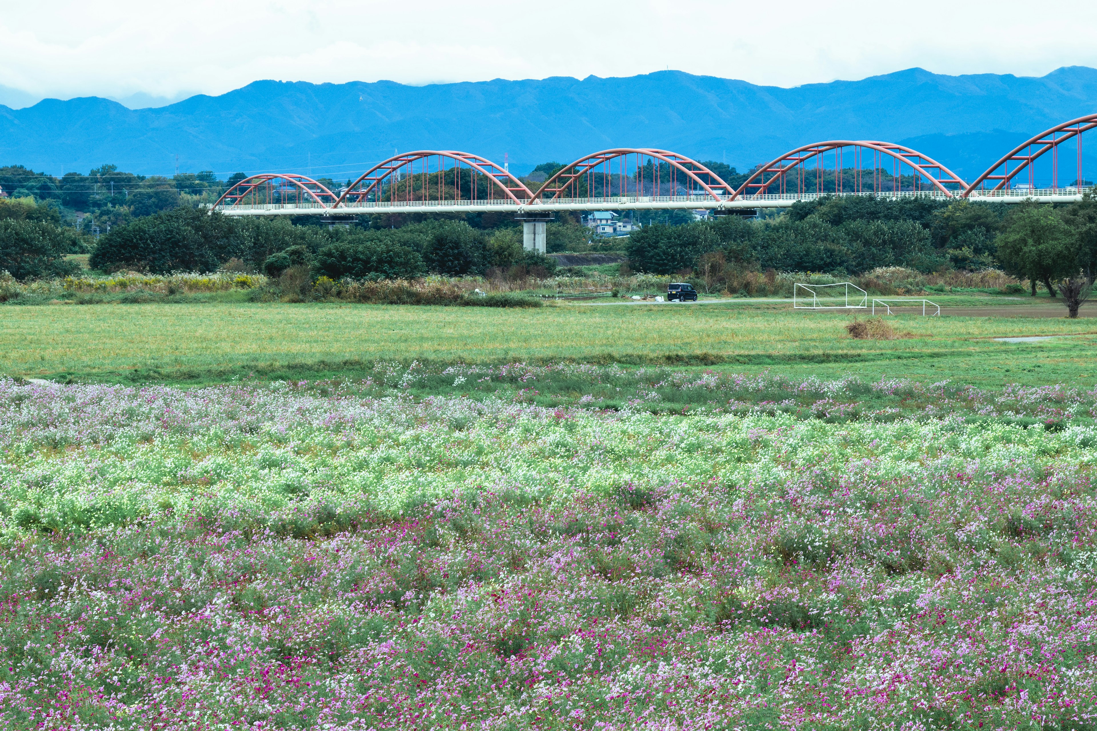 色とりどりの花が咲く広い草原と山々を背景にした赤いアーチ型の橋