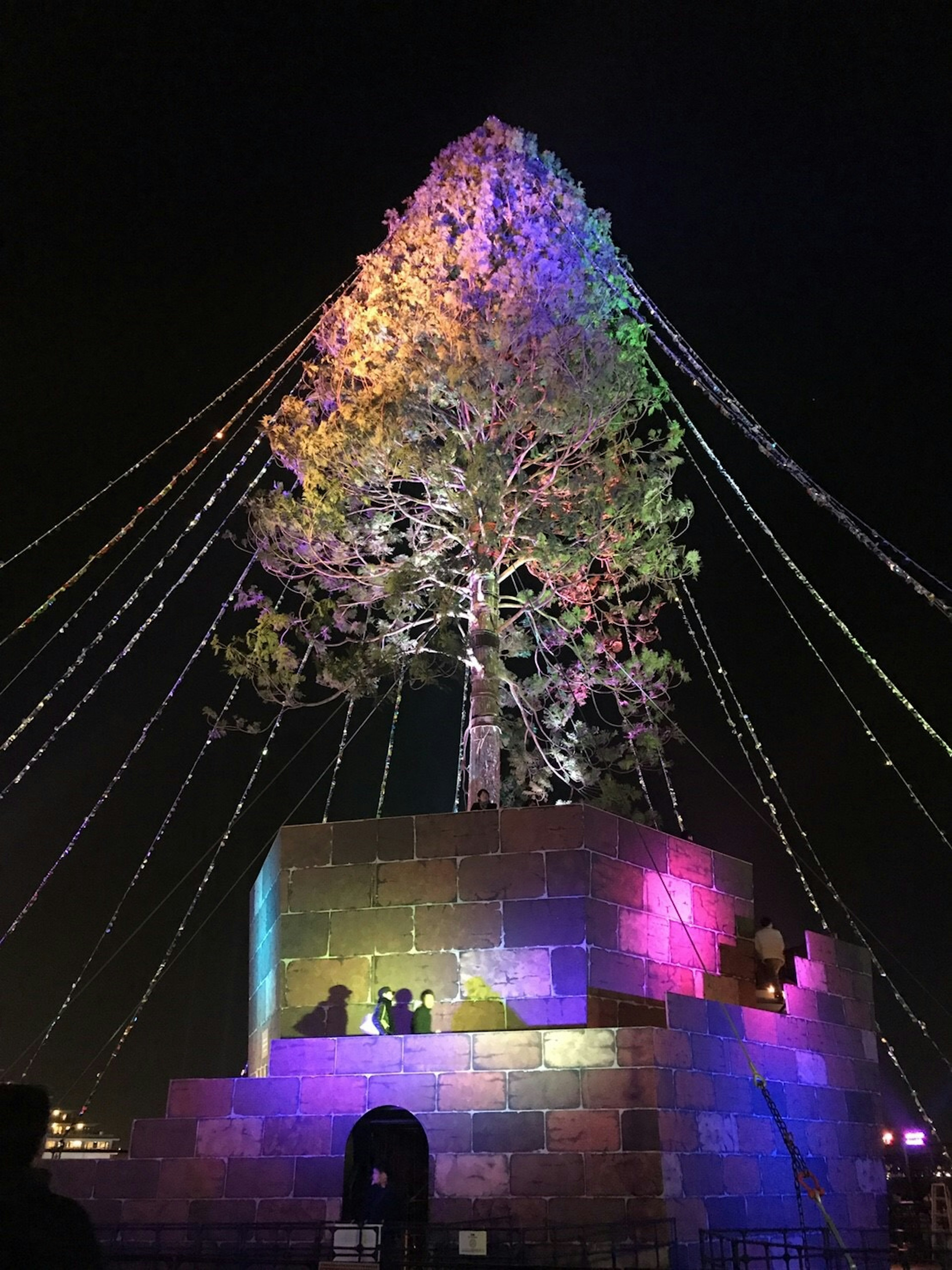 Árbol iluminado por la noche con pedestal de piedra colorido