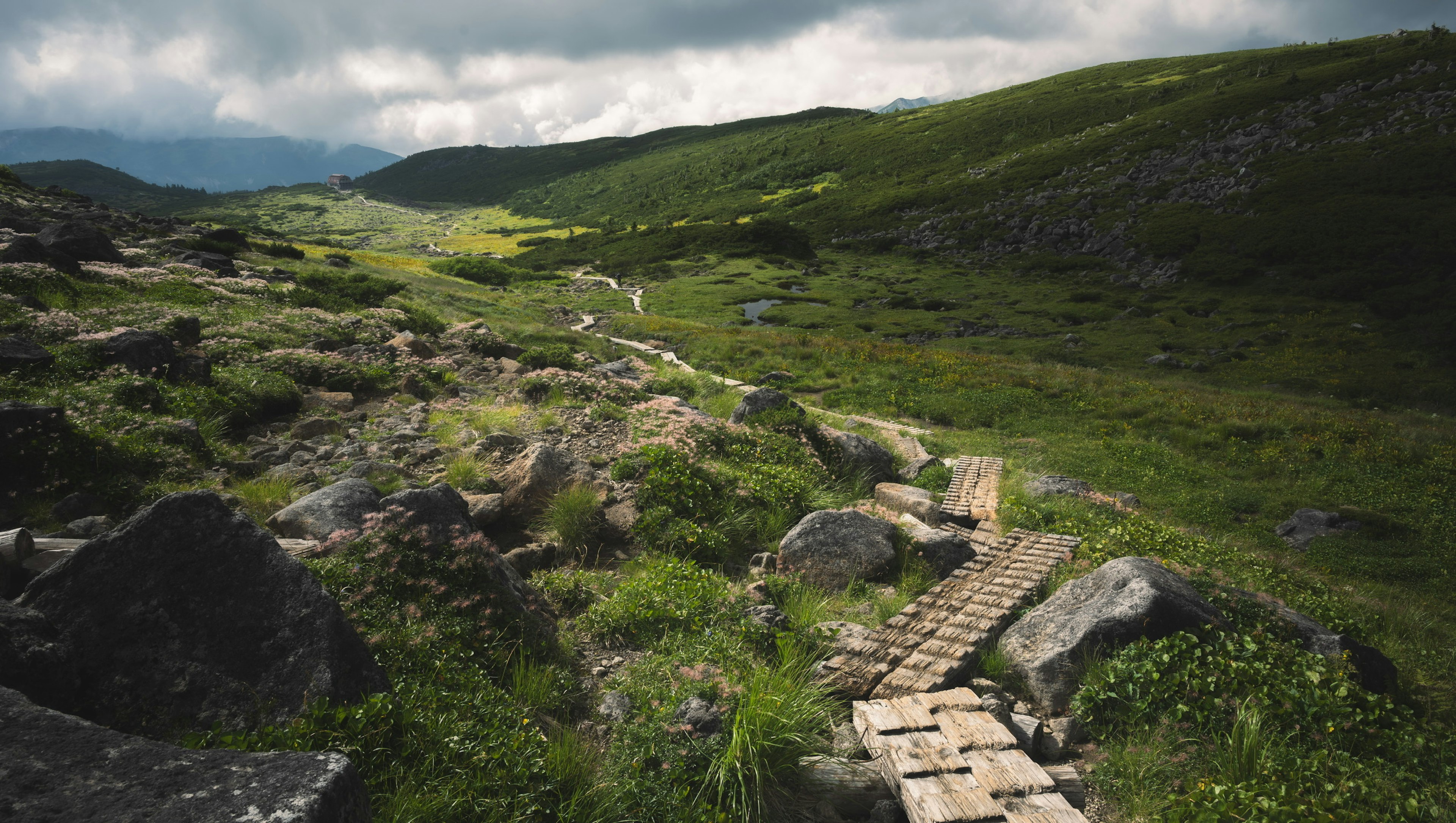 Scenic landscape with a wooden path through lush greenery and rocky terrain