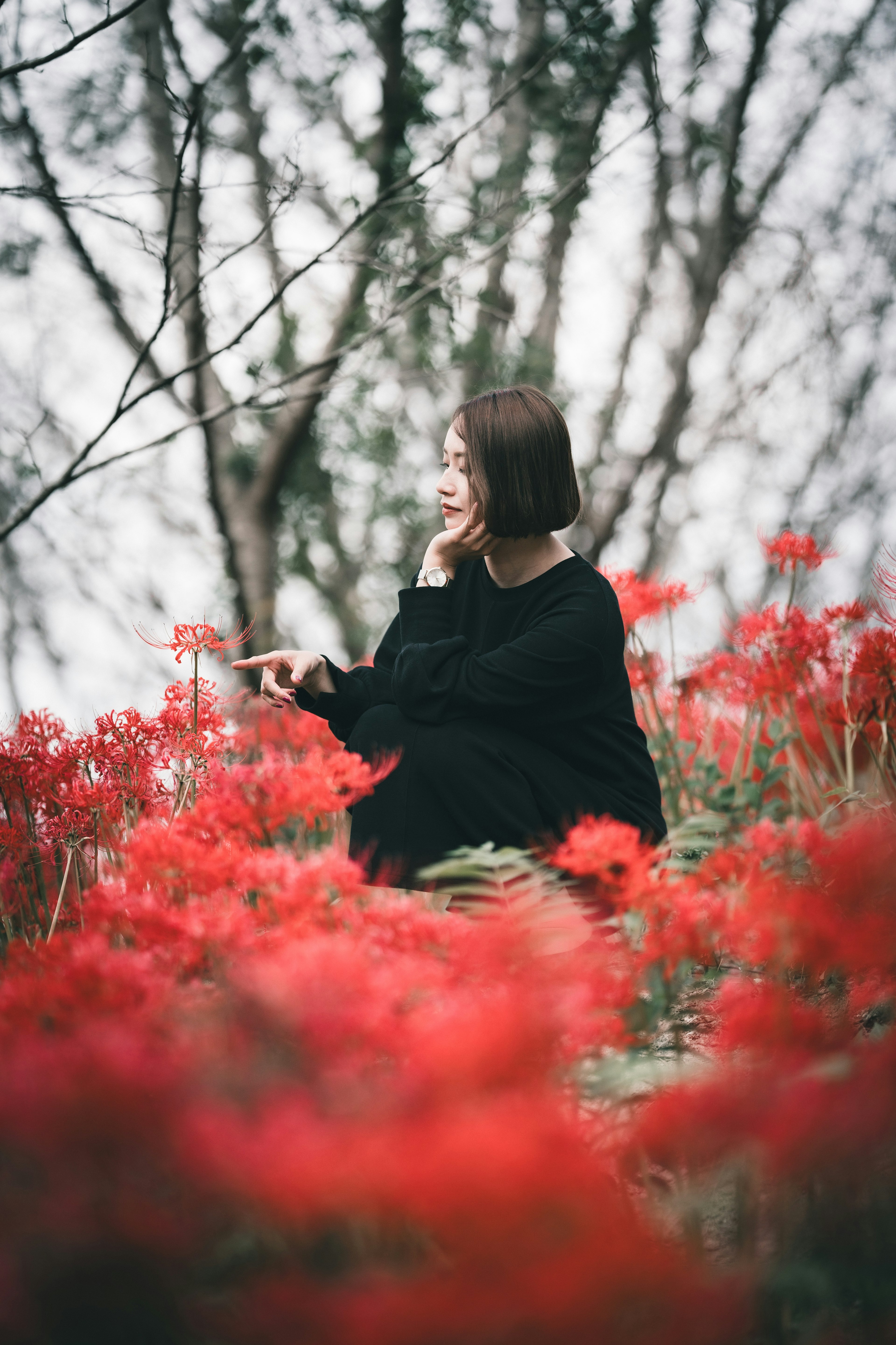 一名女子坐在宁静的风景中，四周环绕着鲜艳的红花