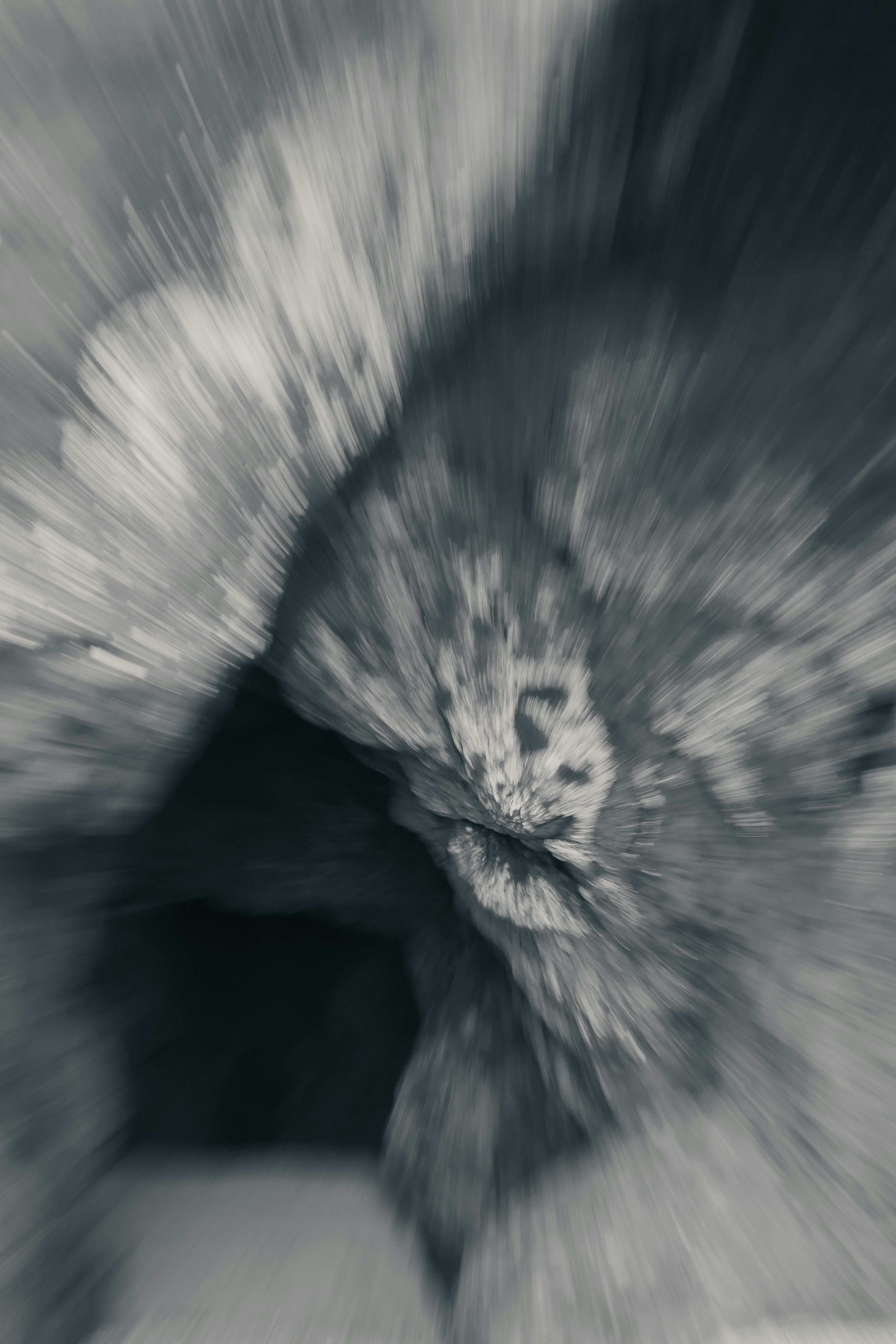 Abstract monochrome image with a tunnel-like shape and motion blur