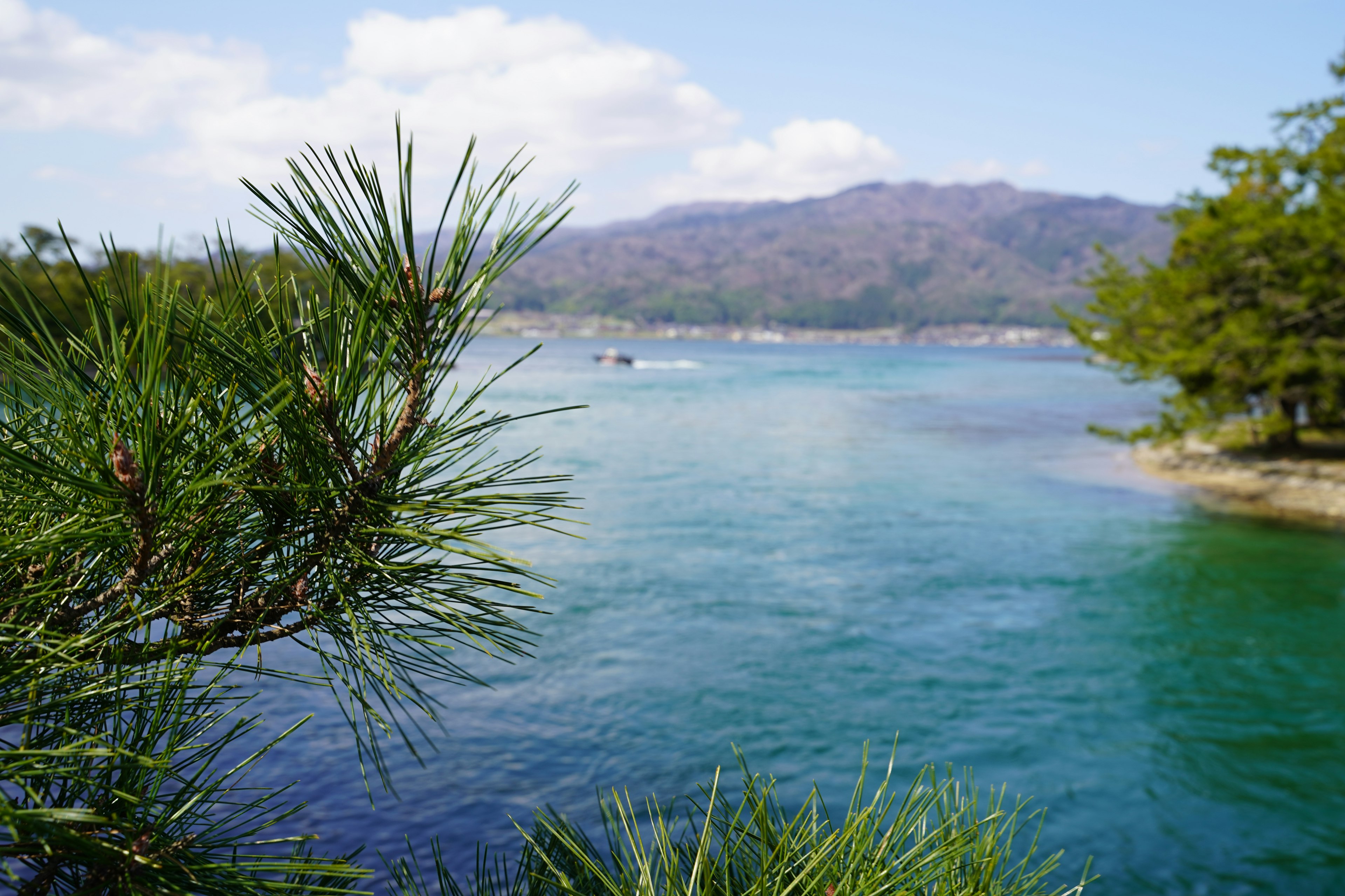 风景如画的河流景观蓝色水域和背景山脉前景有绿色植物