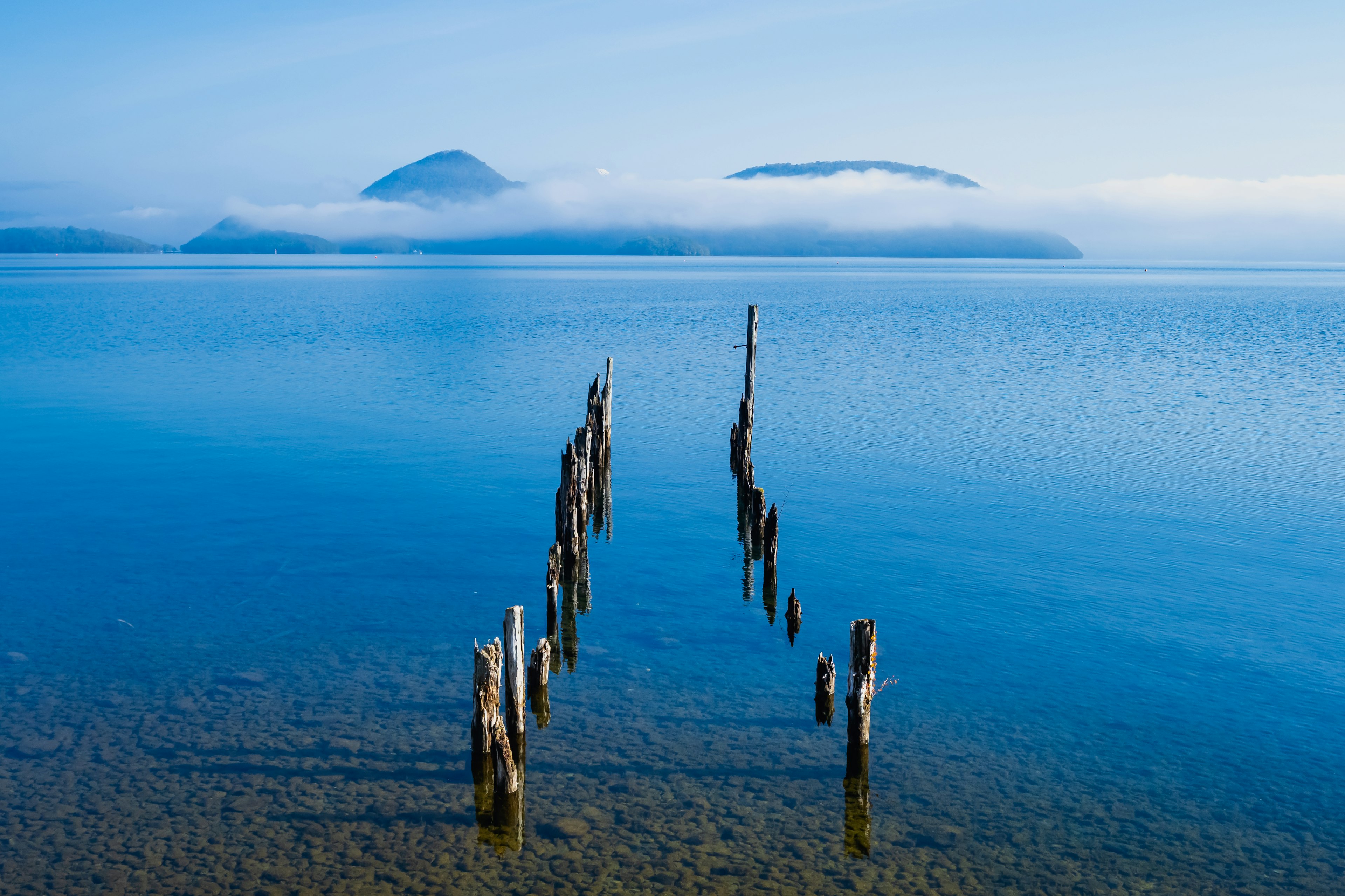 Old wooden posts in a calm lake with misty mountains in the background