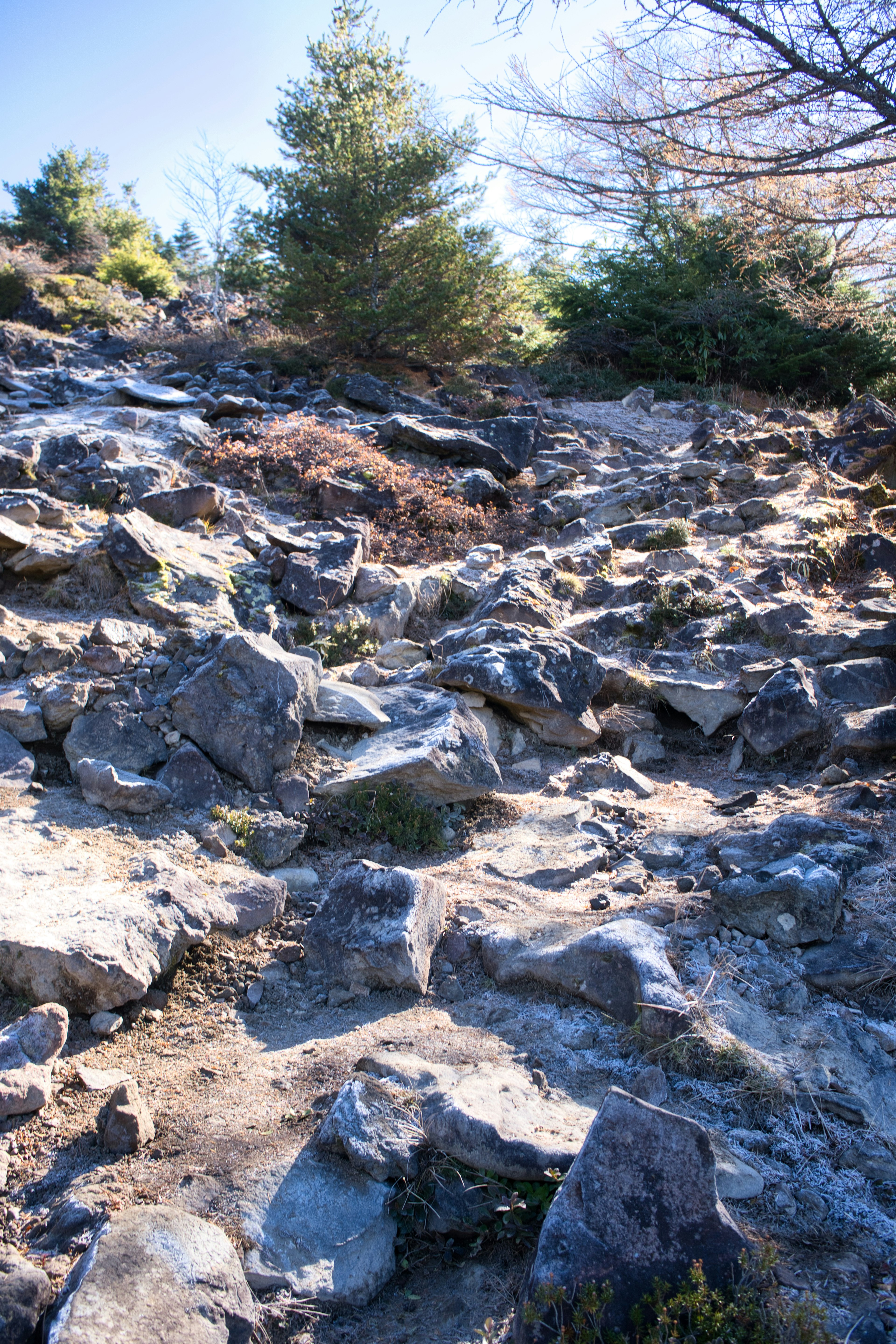 Sentier de montagne rocheux avec des rochers éparpillés et des arbres