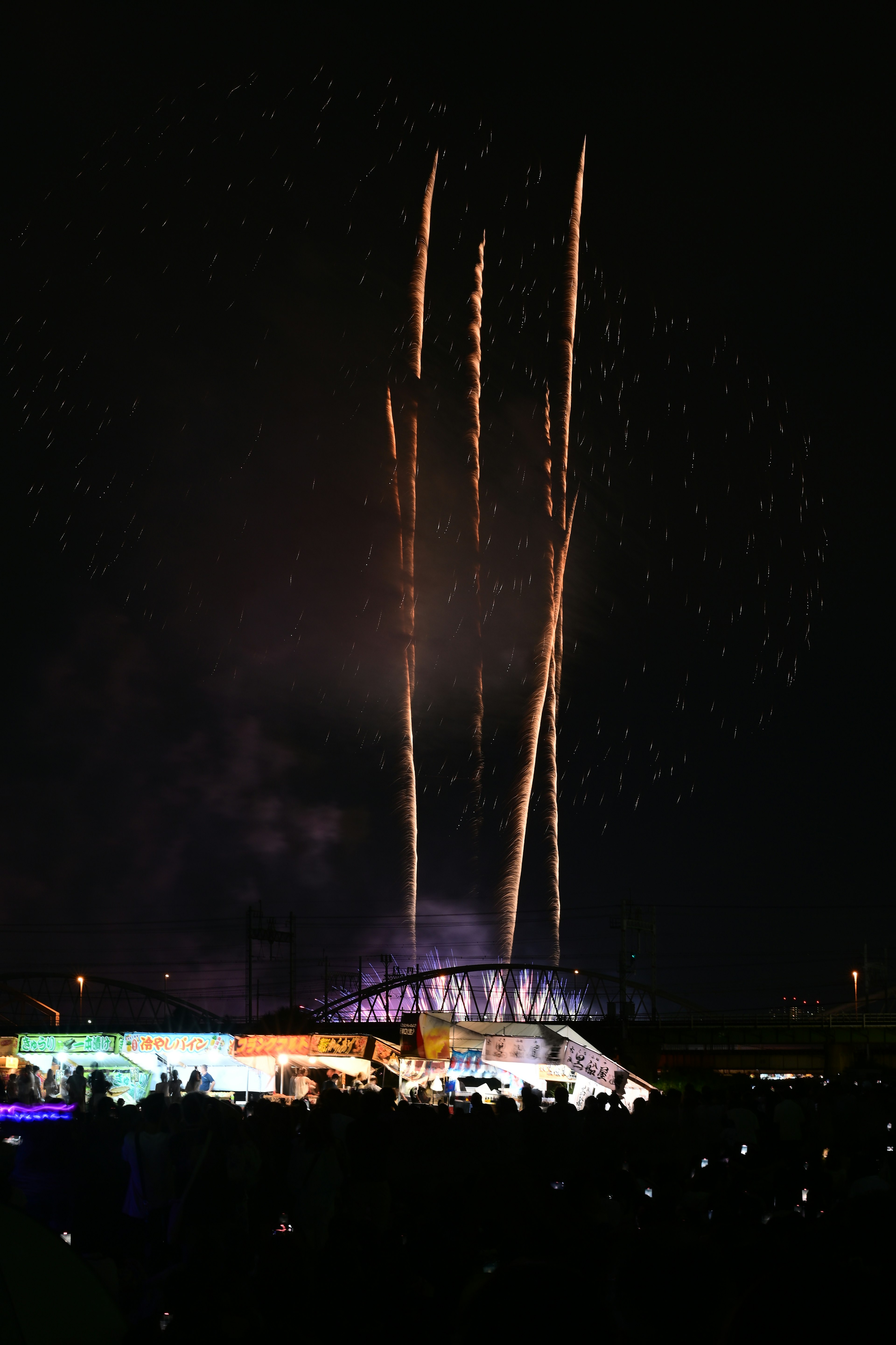 Fuochi d'artificio illuminano il cielo notturno con l'Opera di Sydney in primo piano