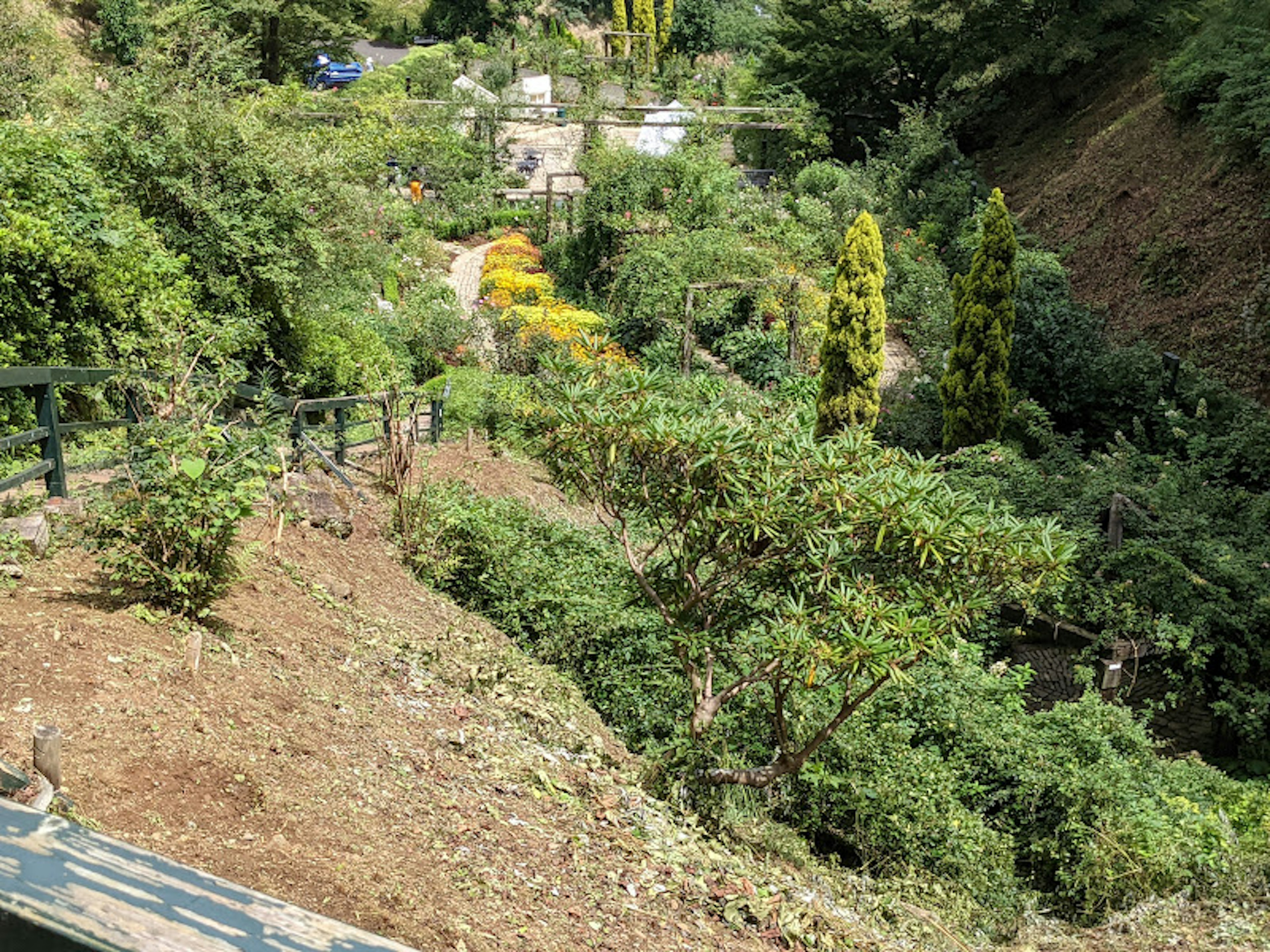 緑豊かな山の谷間に広がる庭園風景と小道