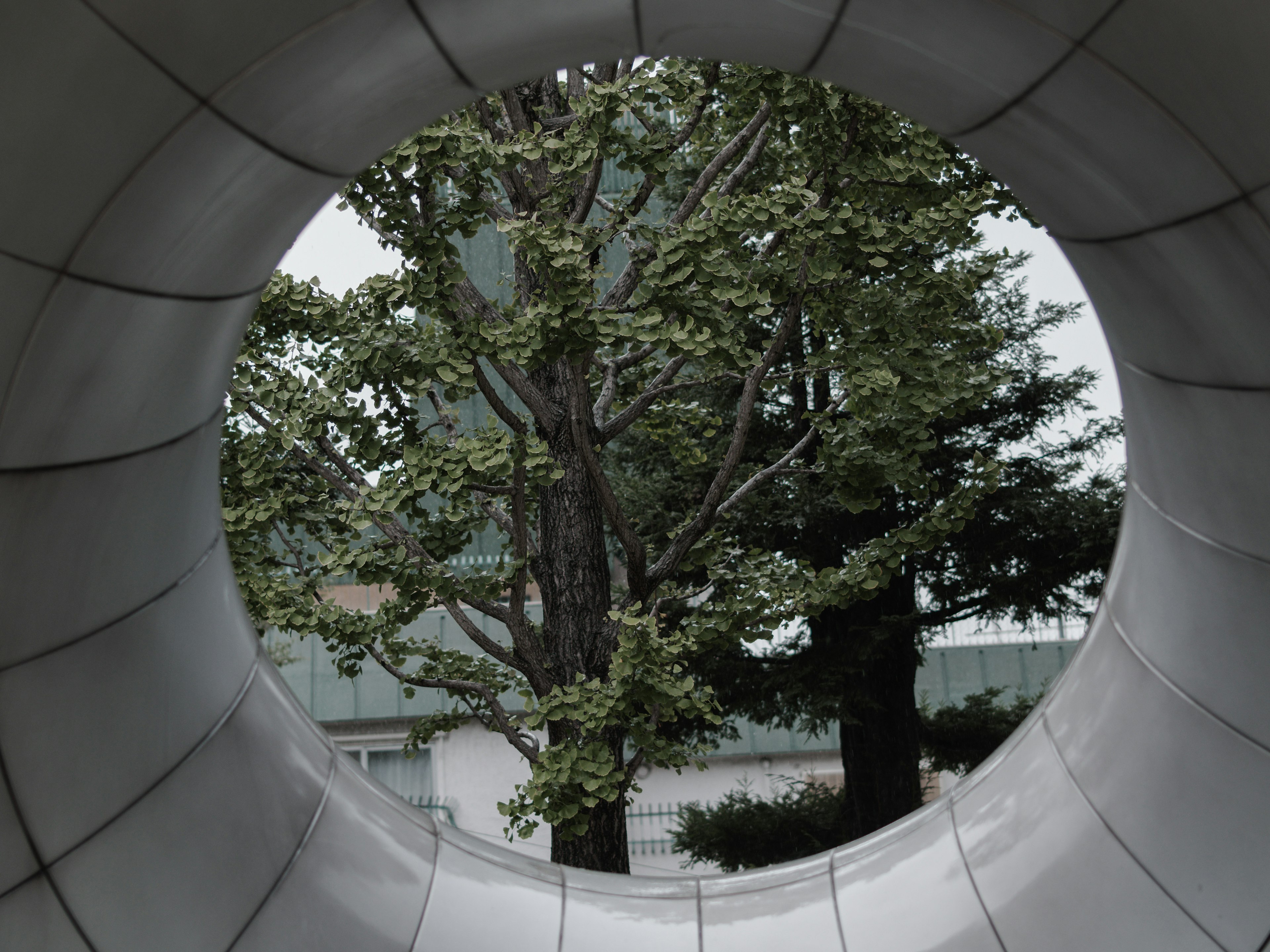 Vue d'un arbre et d'un bâtiment à travers une structure cylindrique argentée