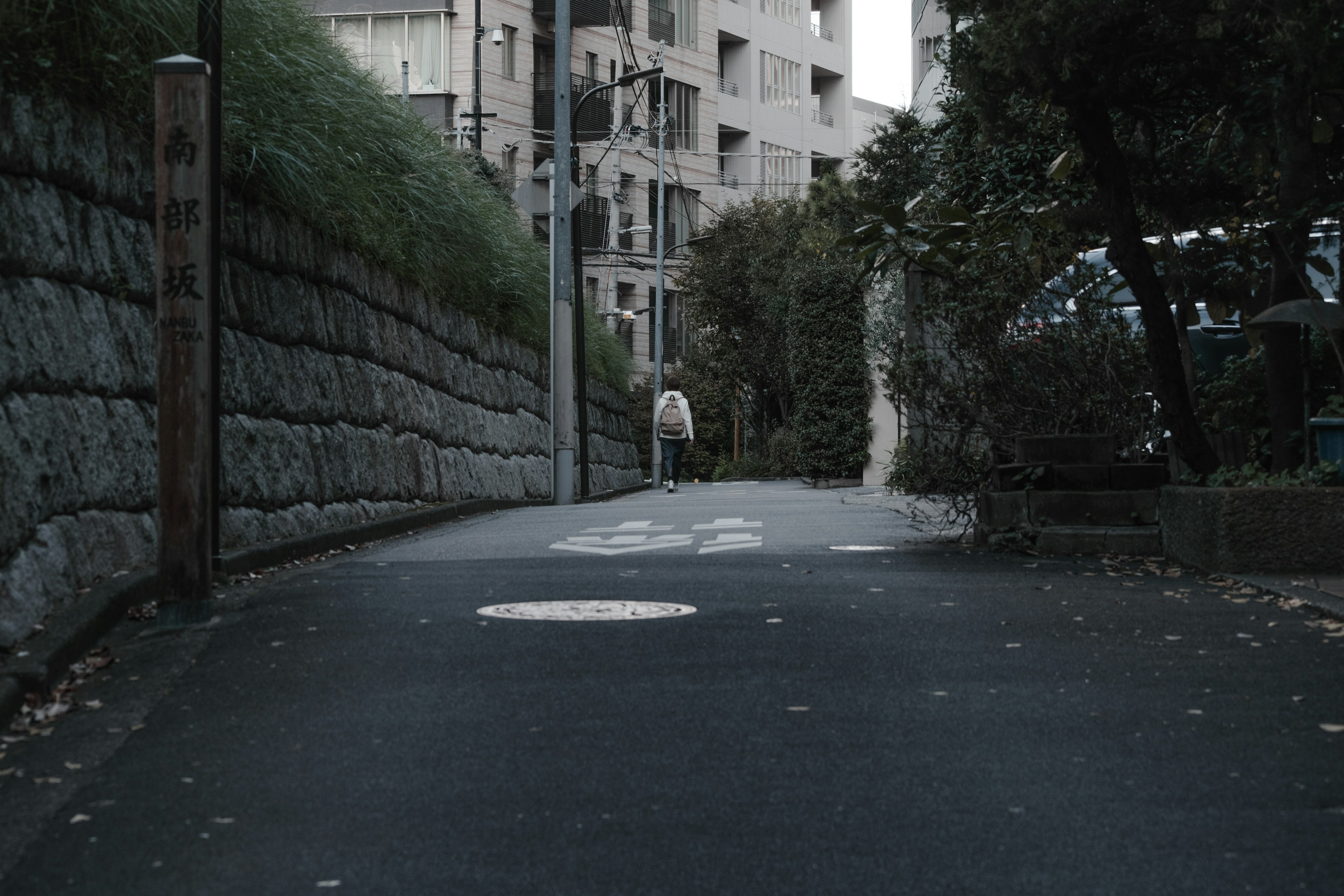 静かな街道を歩く人と緑の植栽が見える