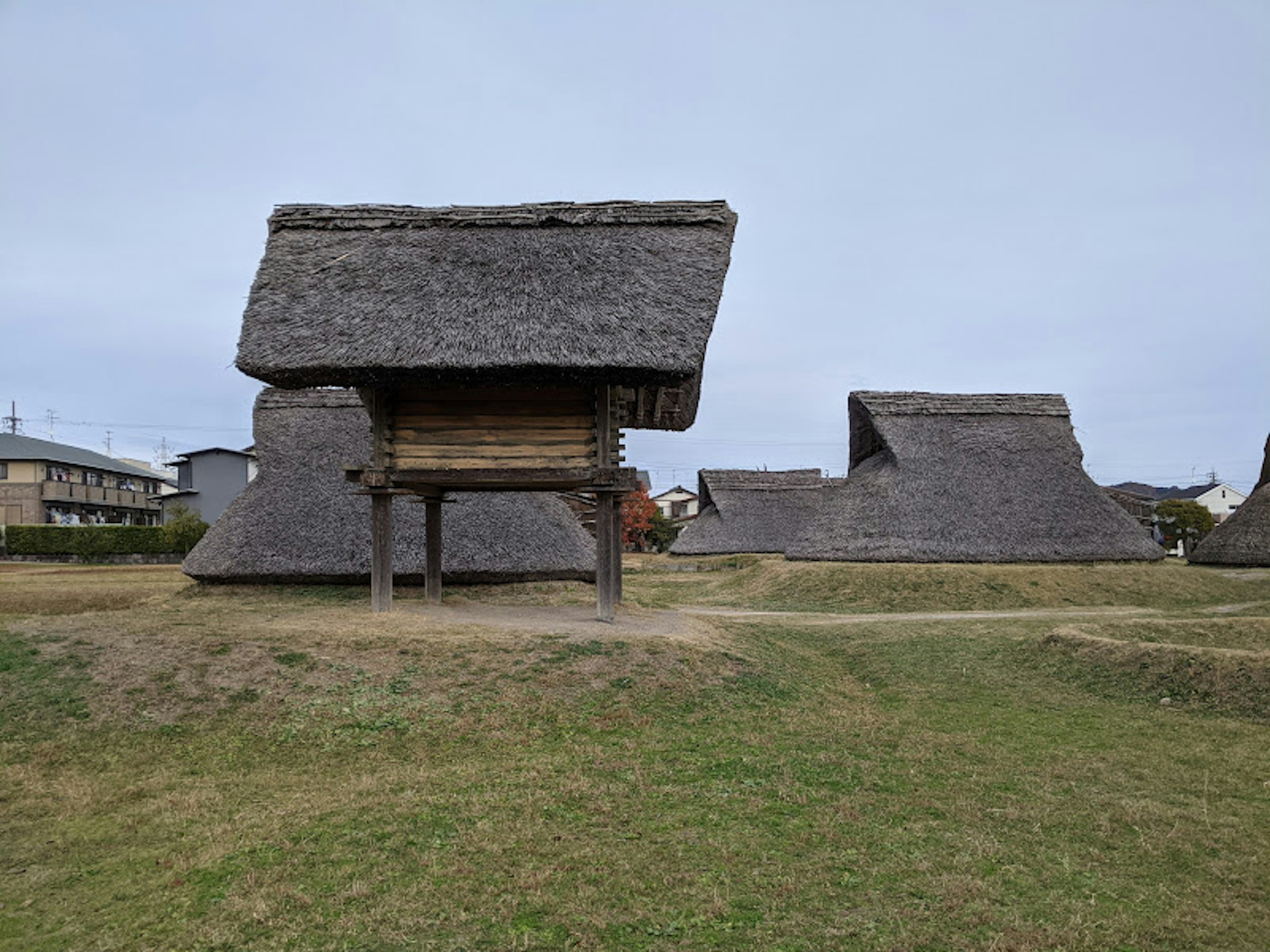 Bâtiments traditionnels à toit de chaume dans un paysage rural