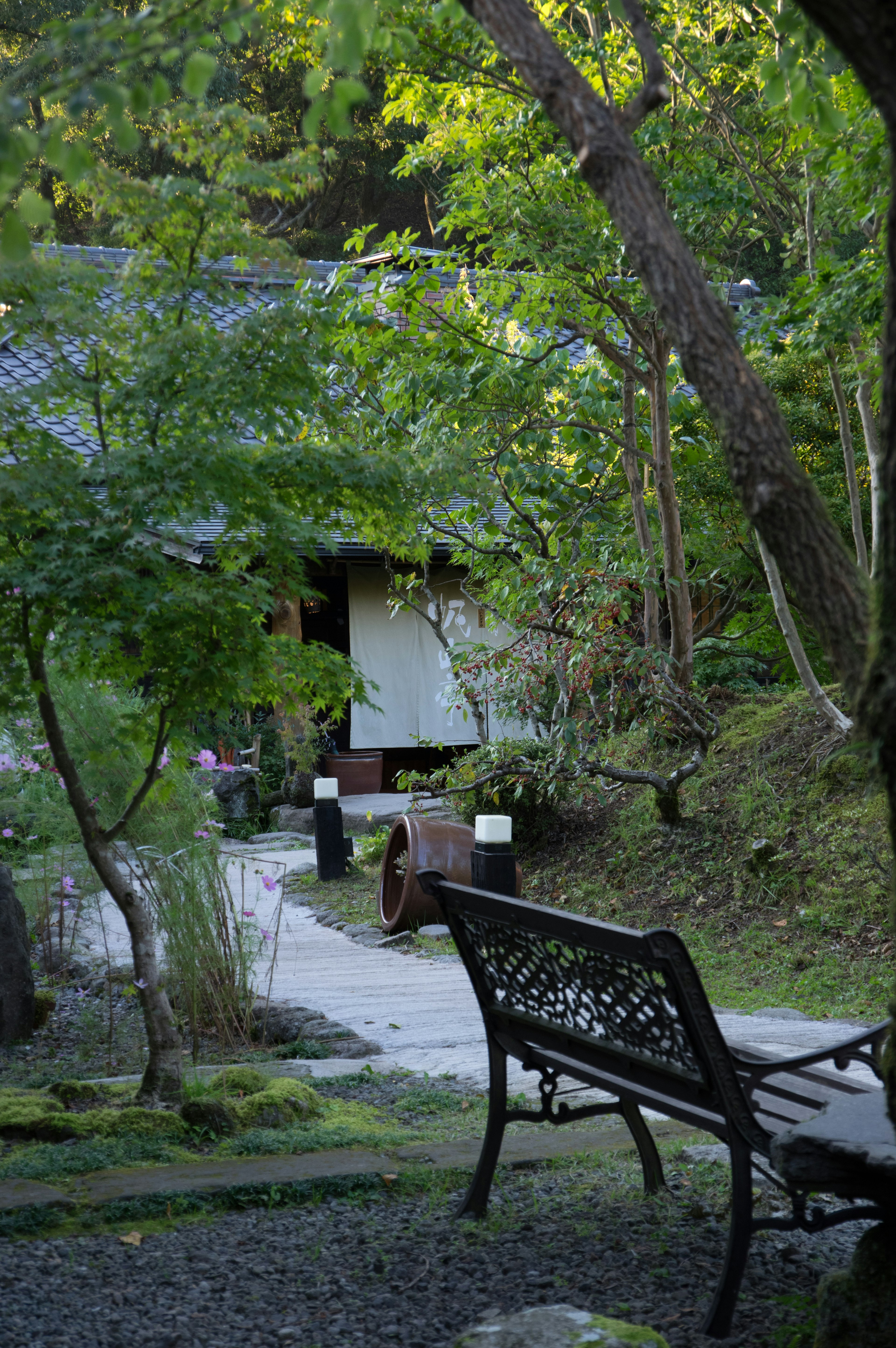 Un chemin de jardin serein avec un banc entouré de verdure