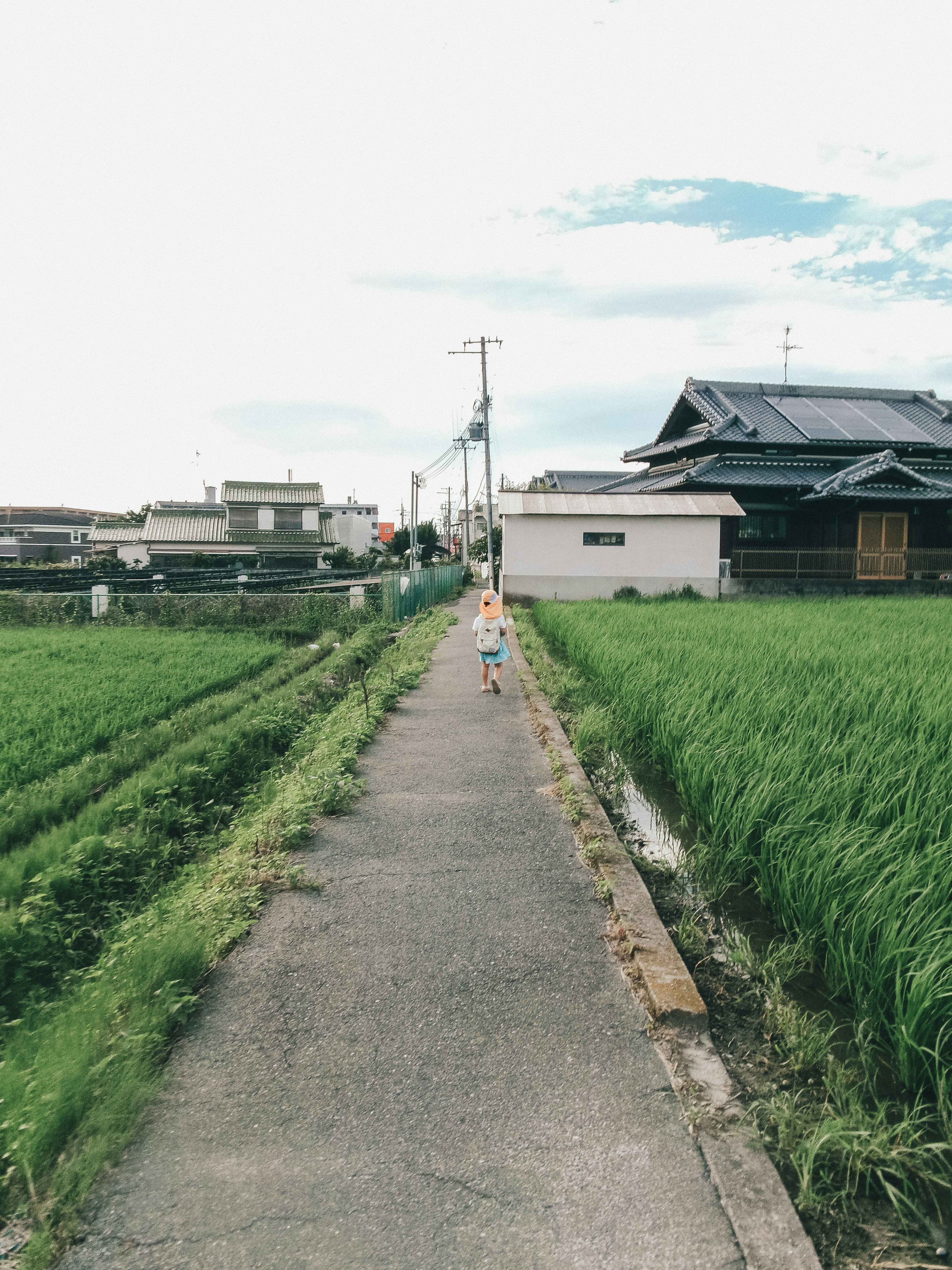 田んぼの横の歩道を歩く子供と周囲の家々の風景