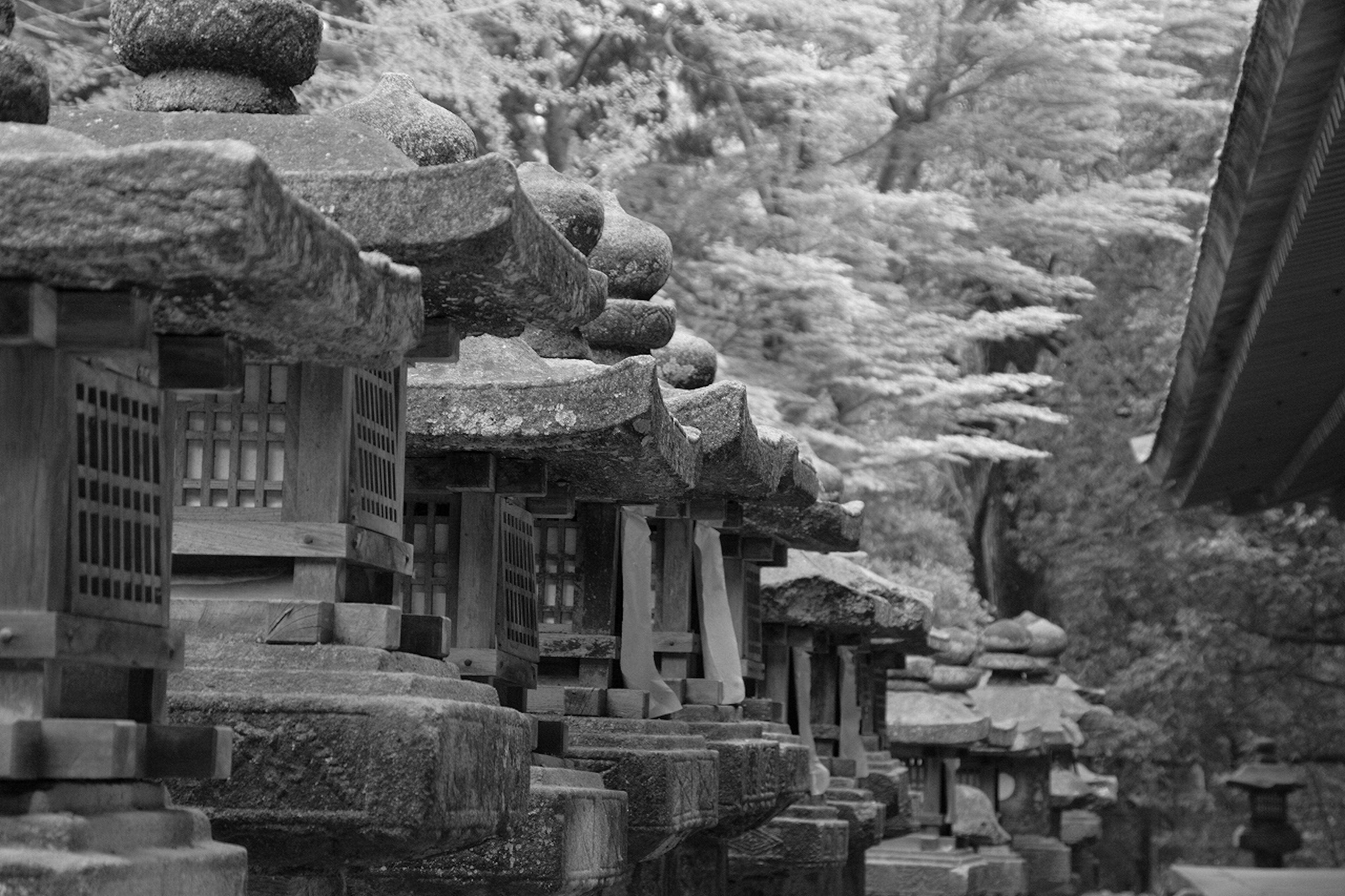 Rangée de lanternes en pierre en noir et blanc