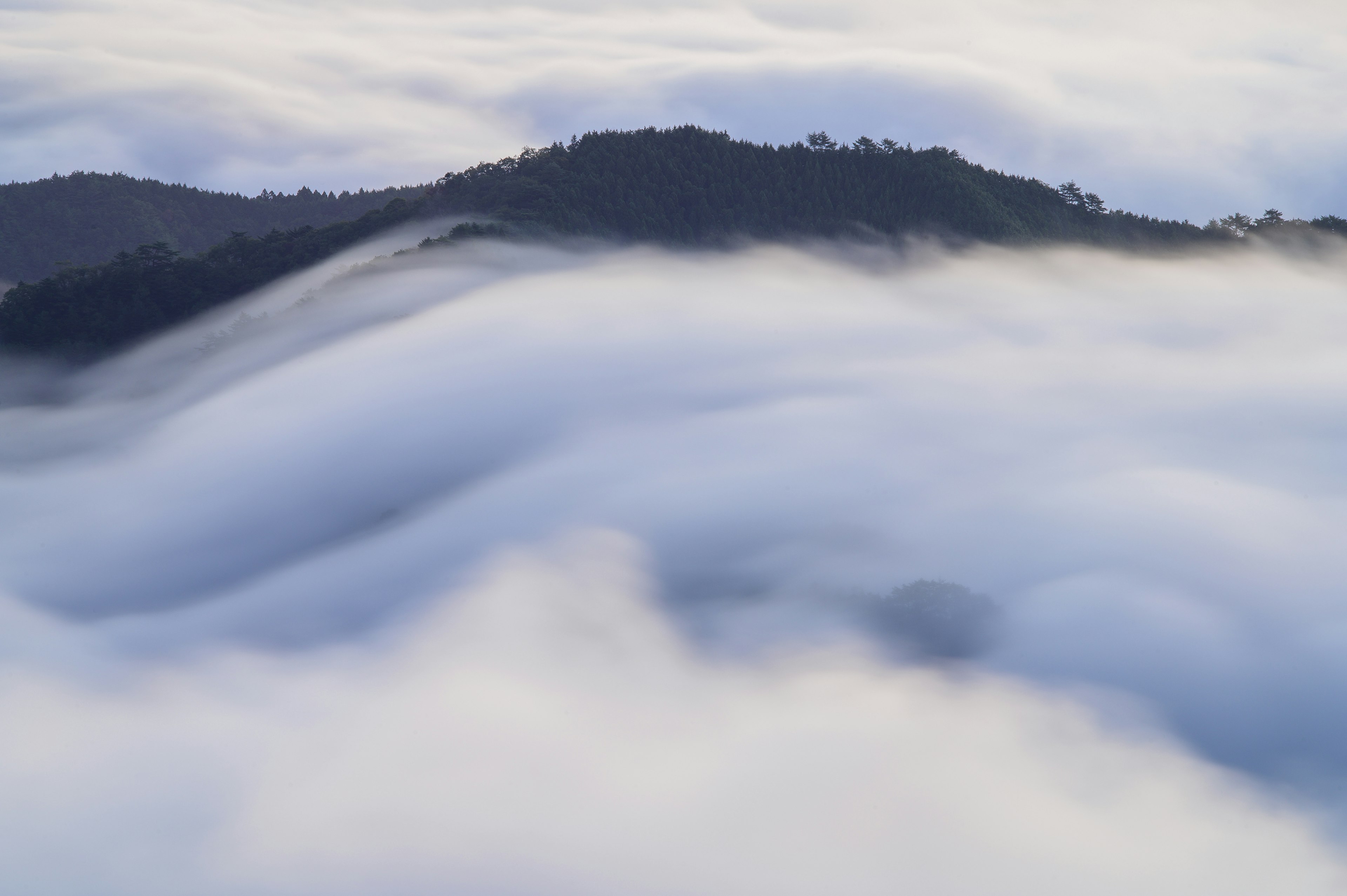 霧に包まれた山々の風景